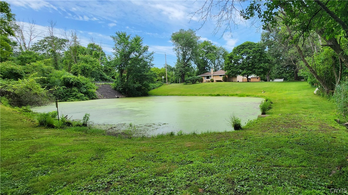 8252 Maple Road