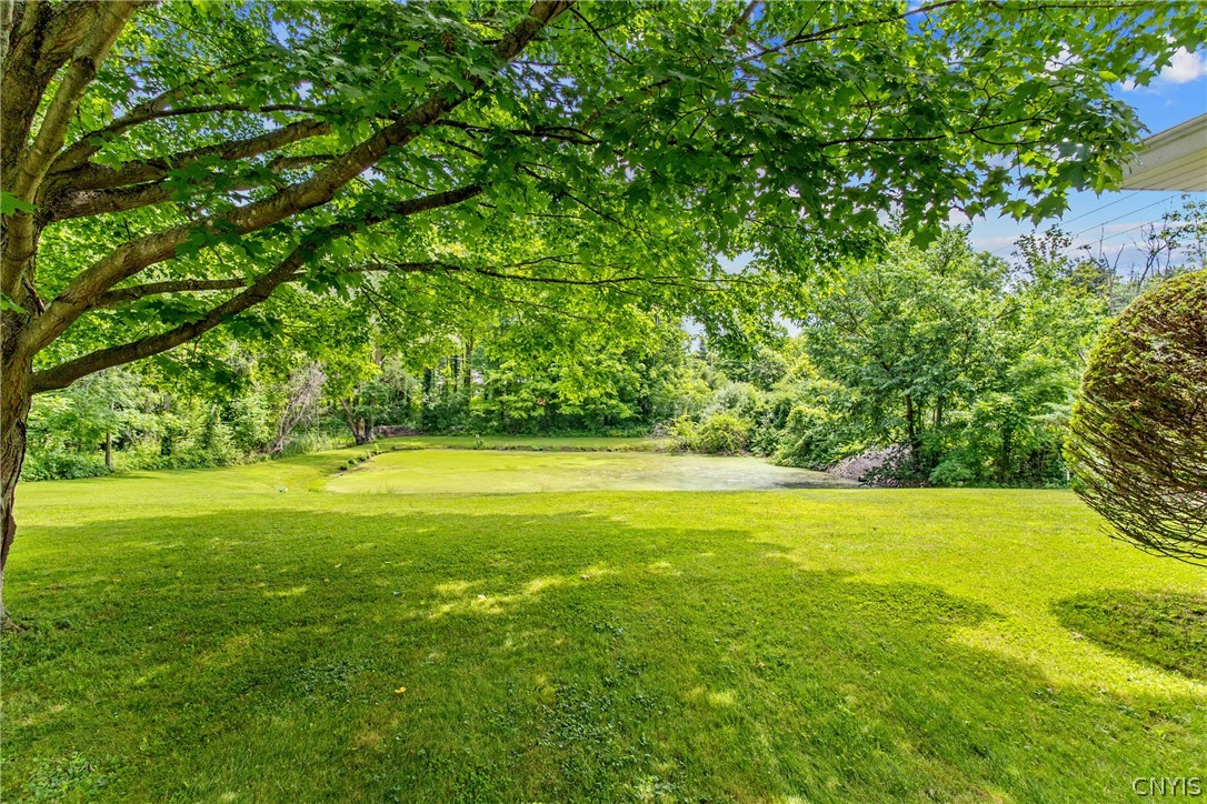 8252 Maple Road