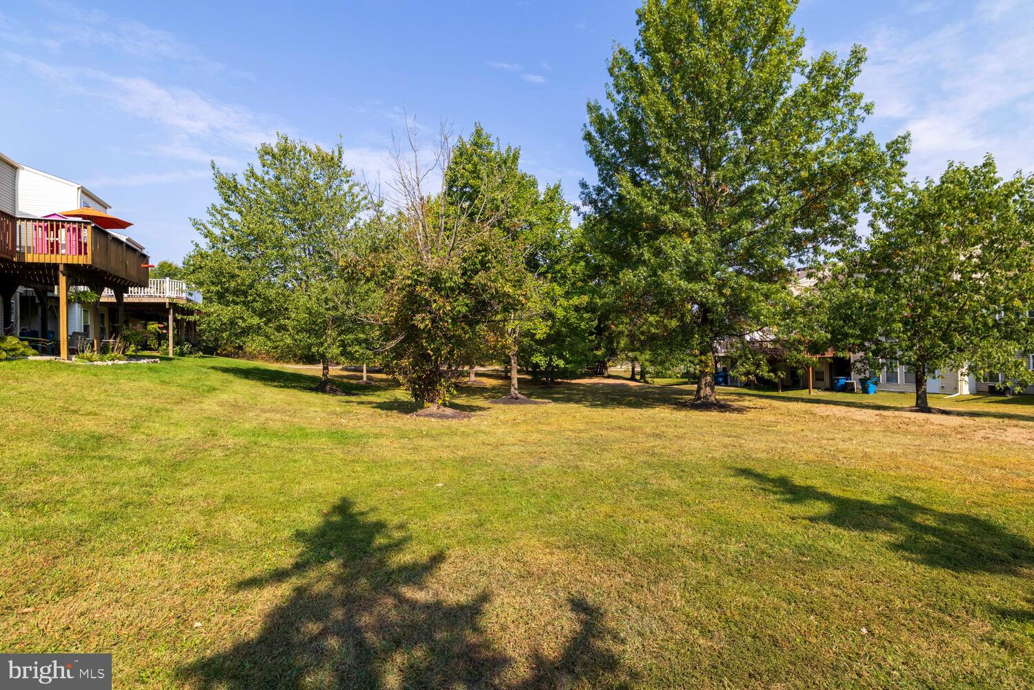 501 JOSHUA COURT
