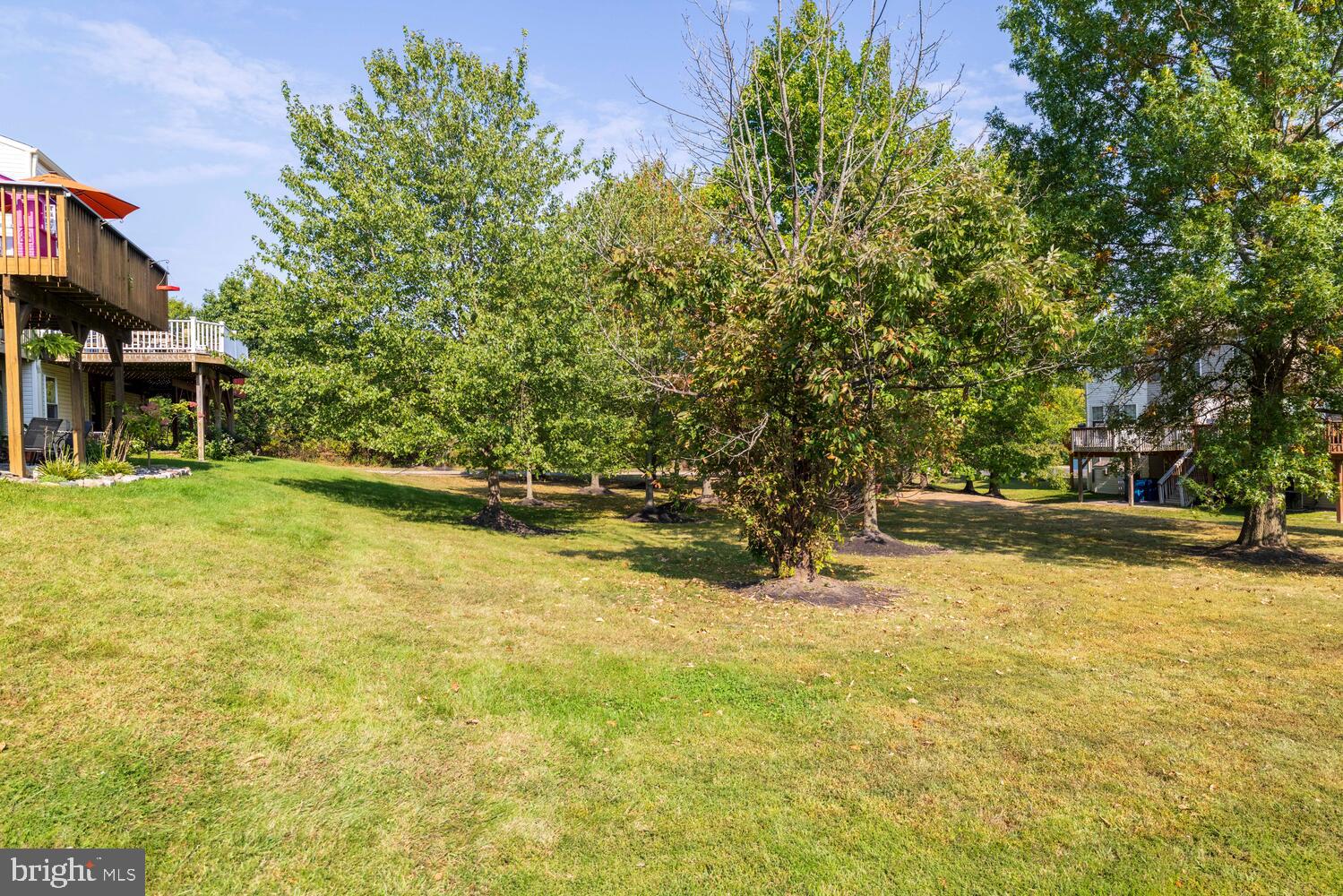 501 JOSHUA COURT