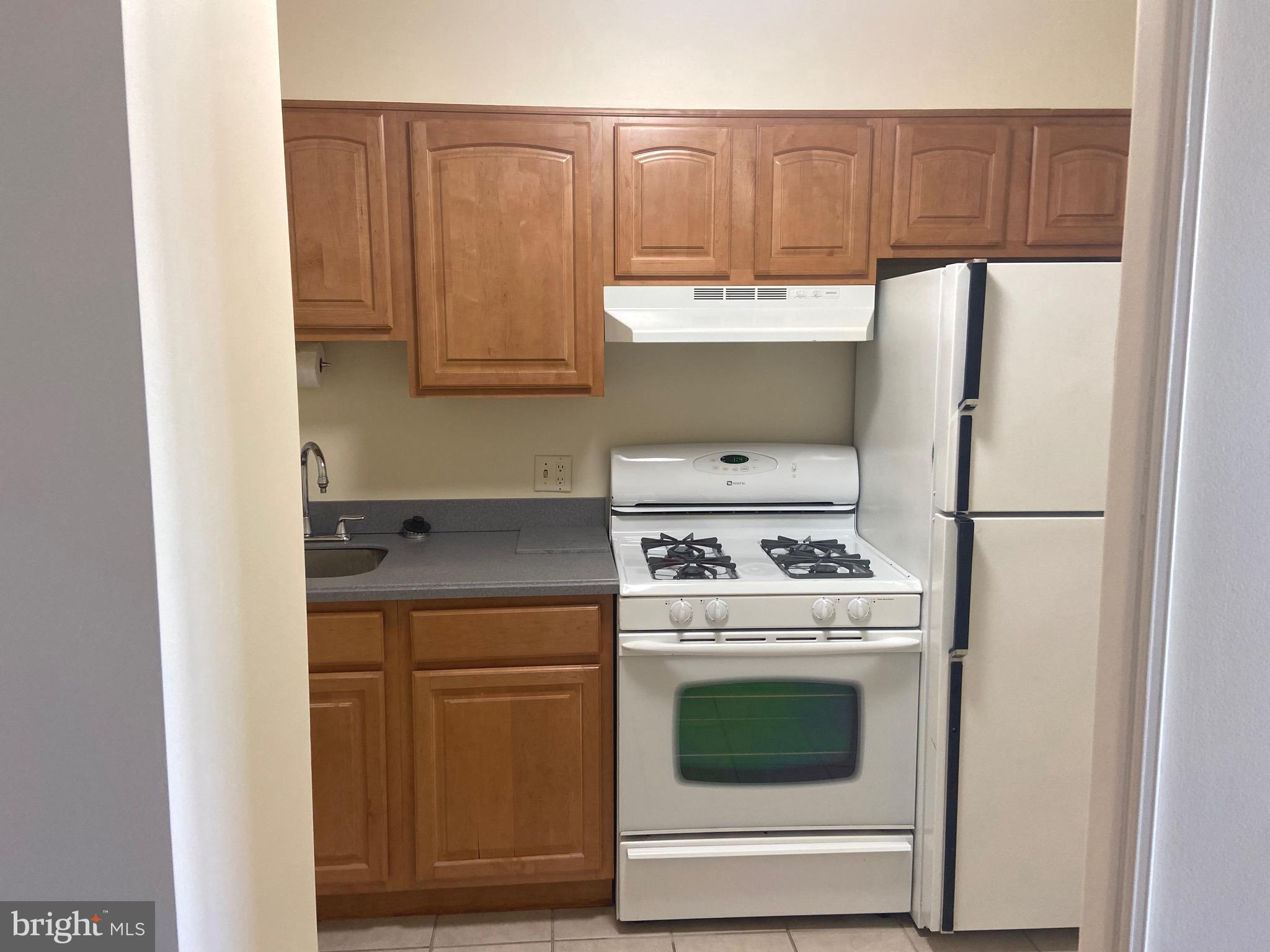 604-36 S Washington Sq #1204