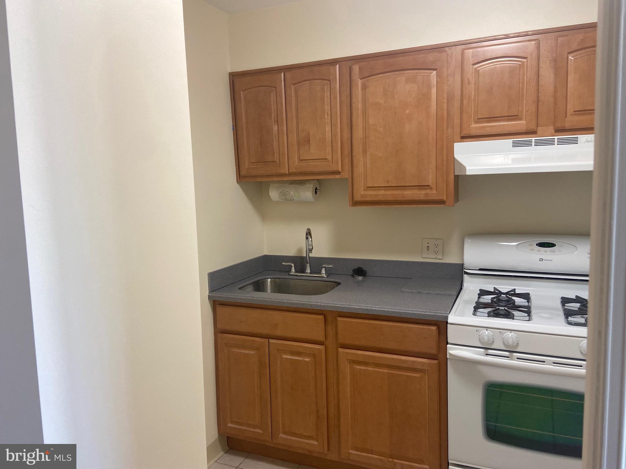 604-36 S Washington Sq #1204