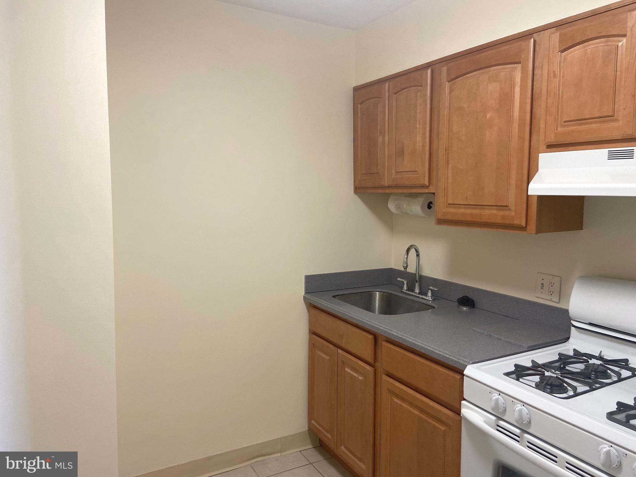 604-36 S Washington Sq #1204