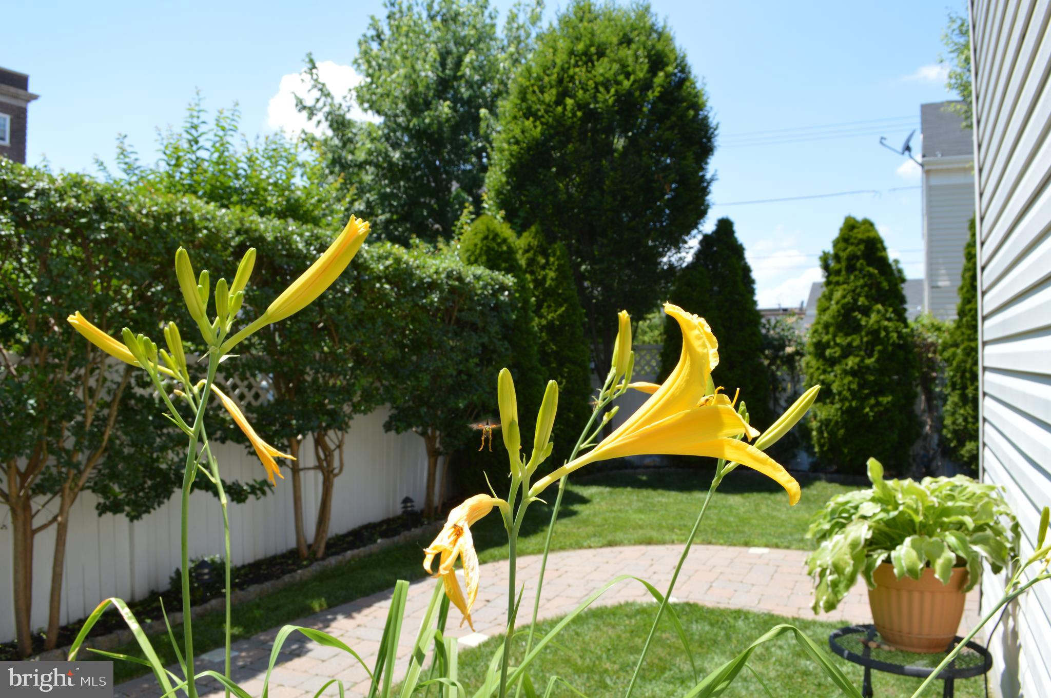 1318-22 S LAWRENCE ST