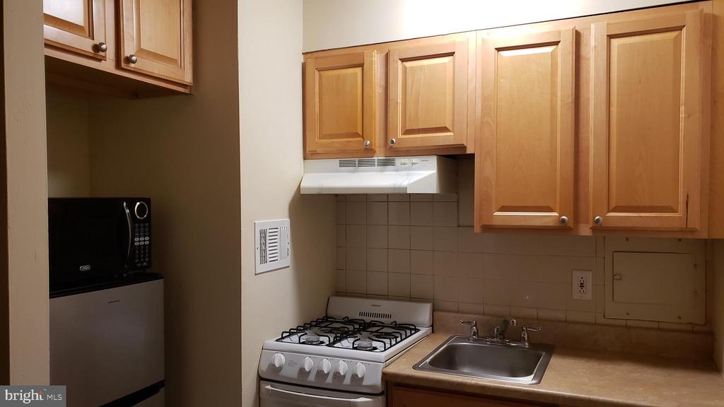 2101-17 Chestnut St #1522