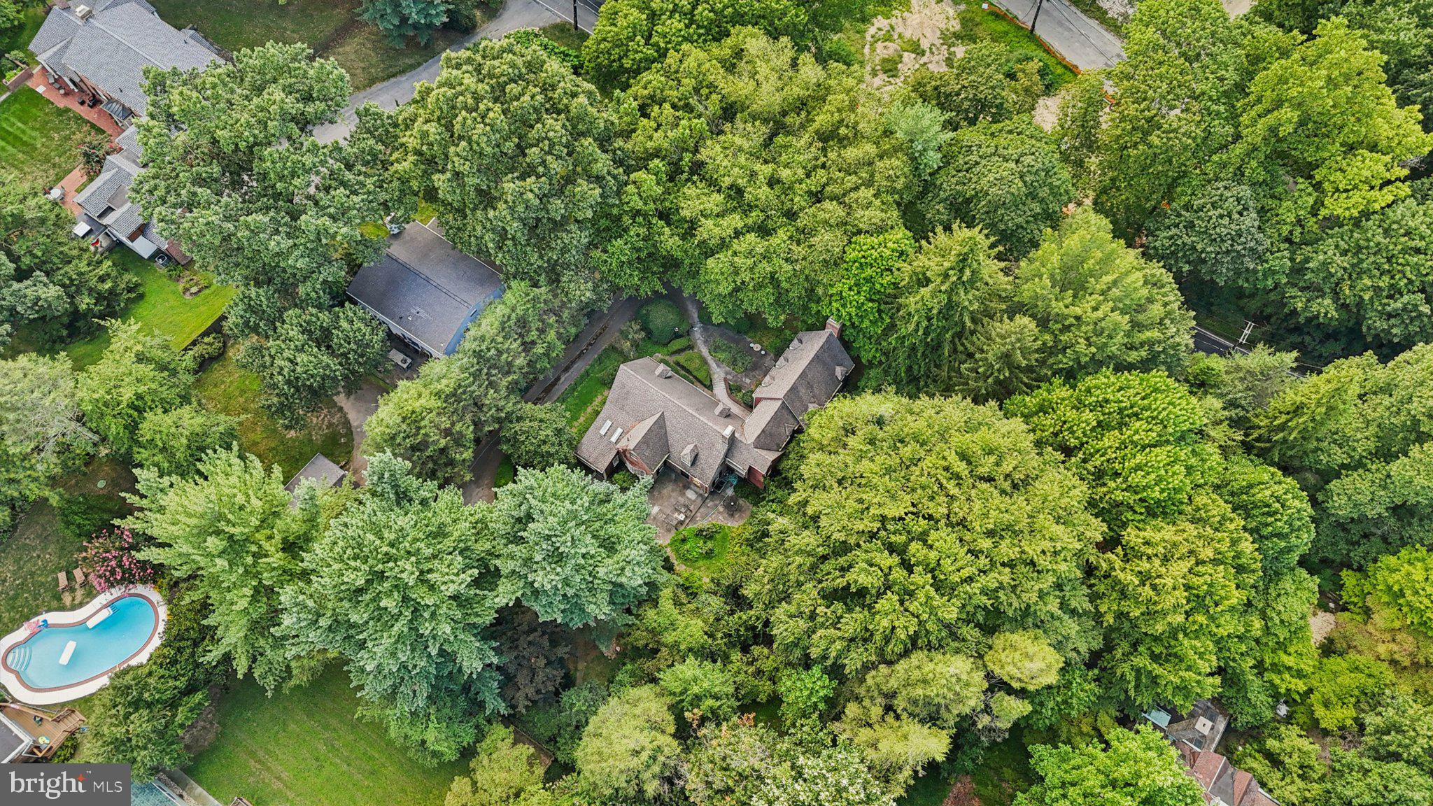 534 W SPRINGFIELD AVENUE