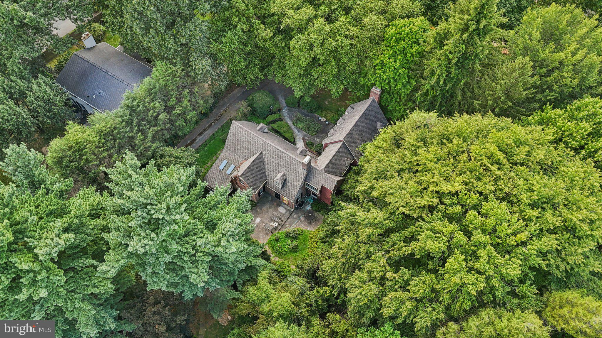 534 W SPRINGFIELD AVENUE