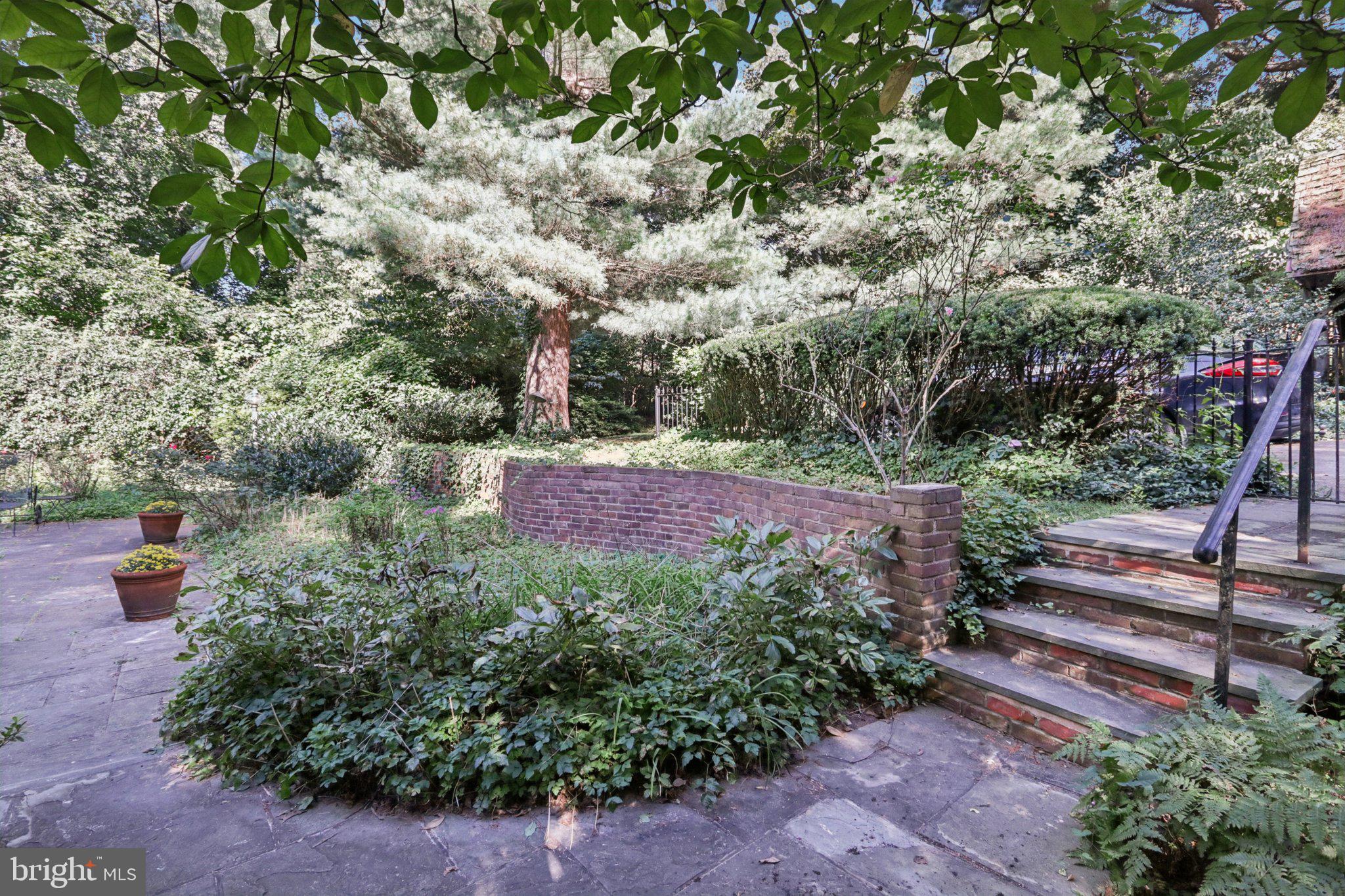 534 W SPRINGFIELD AVENUE