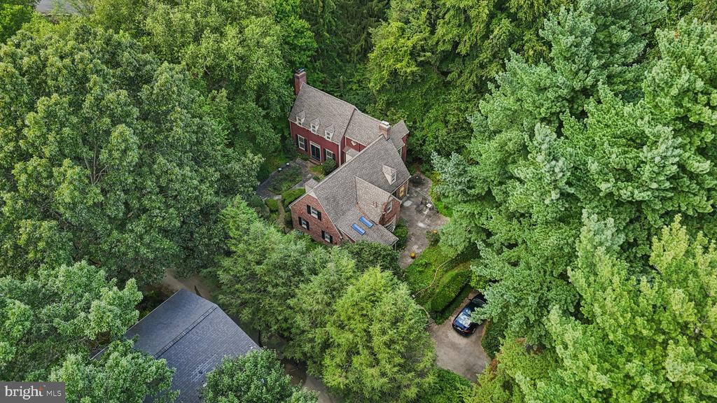 534 W SPRINGFIELD AVENUE