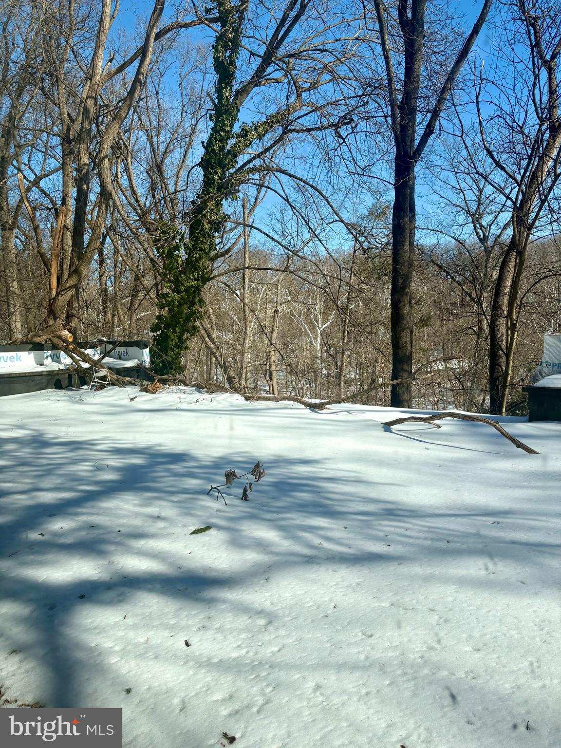 7615 SAINT MARTINS LANE