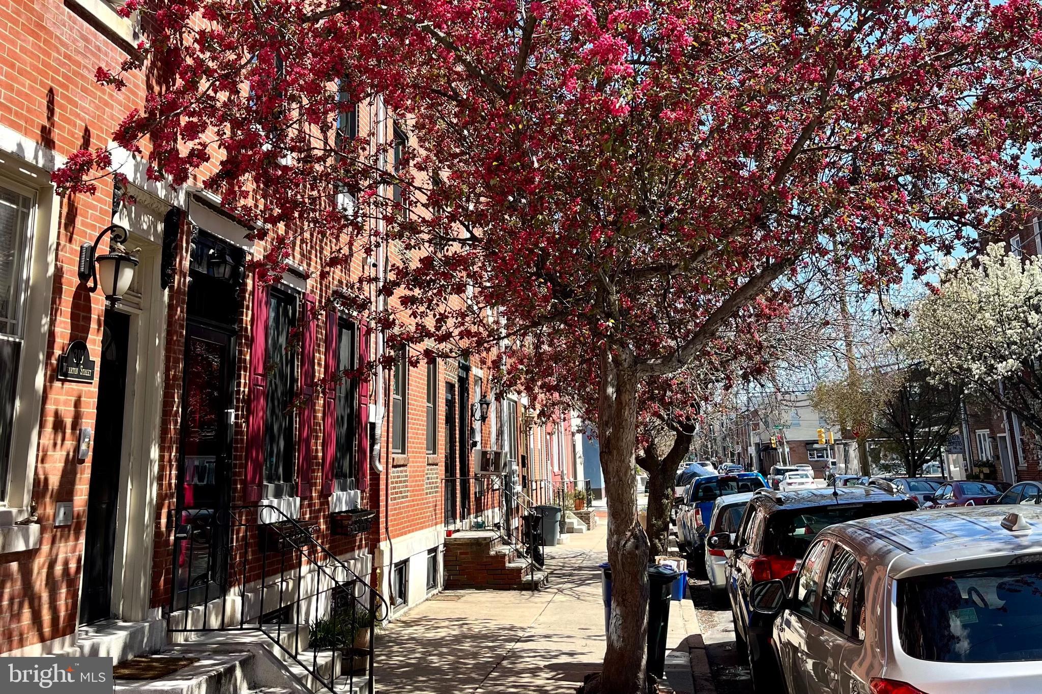 317 WHARTON STREET