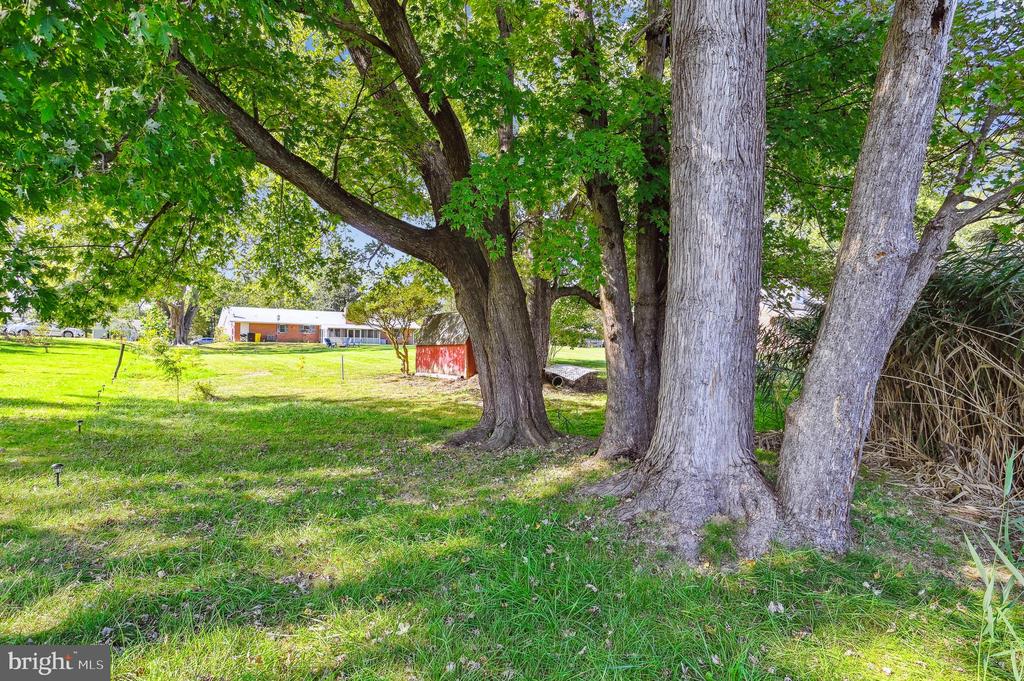 4719 WOODFIELD ROAD