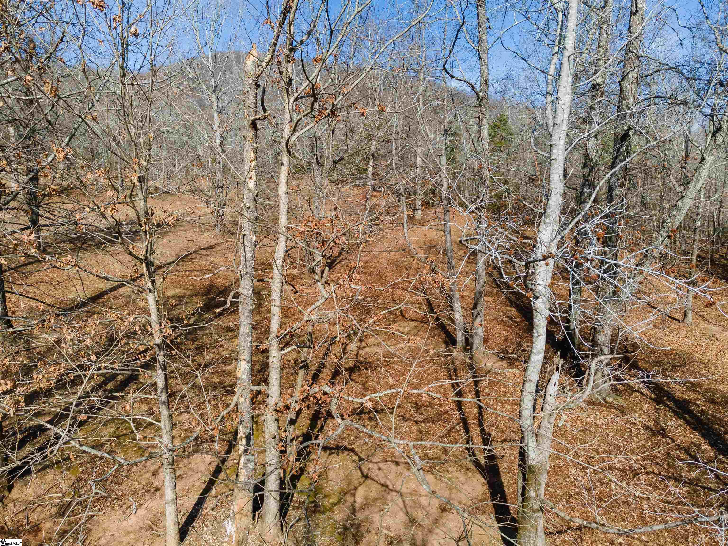 2000 Oak Grove Road