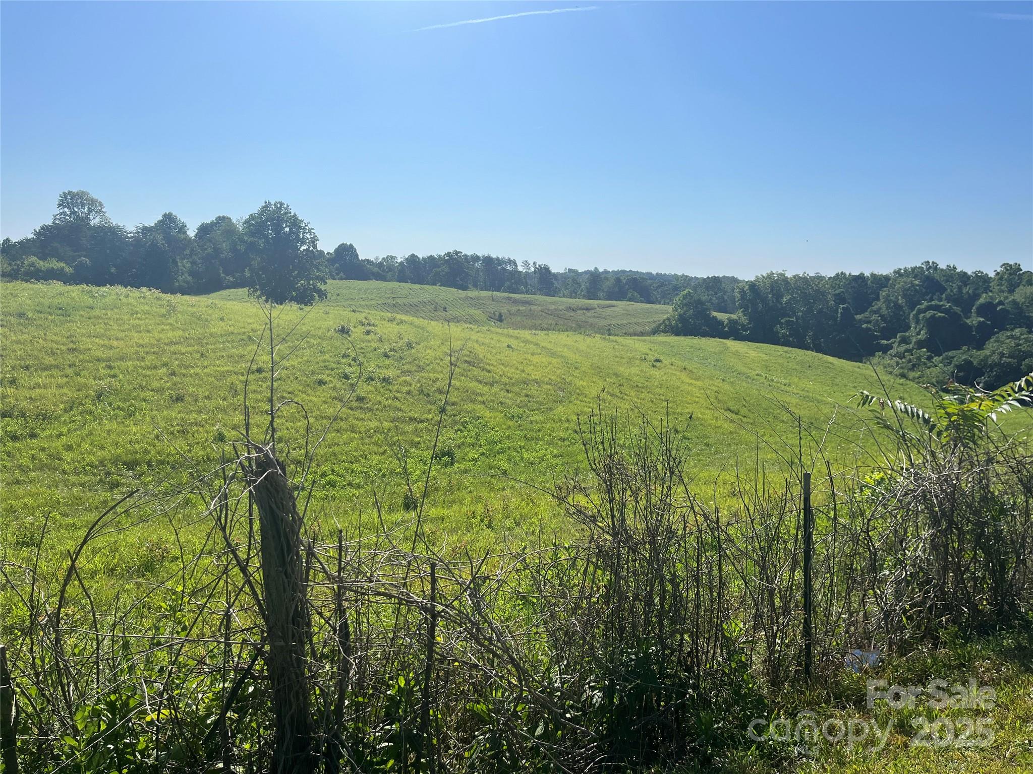 536 Pea Ridge Road
