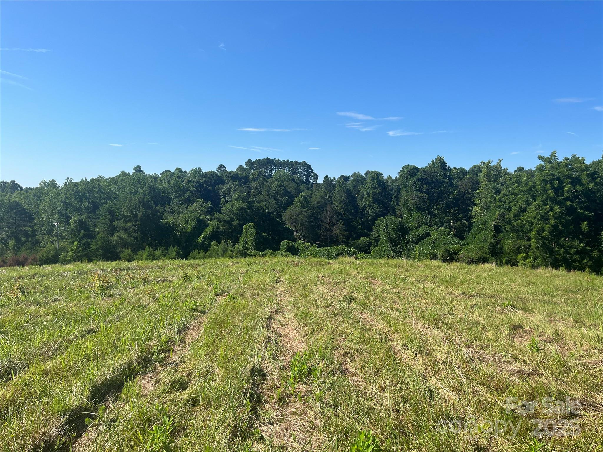 536 Pea Ridge Road
