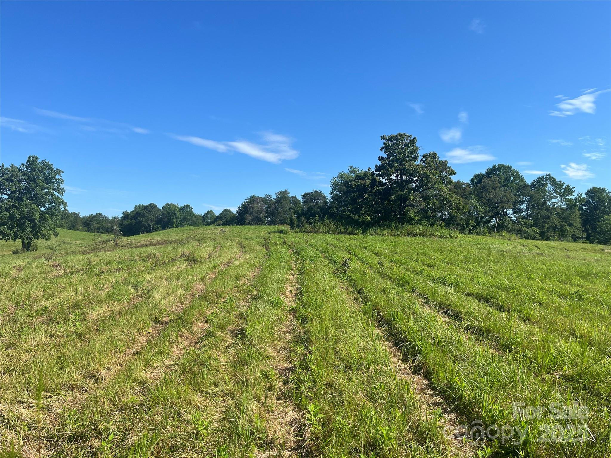 536 Pea Ridge Road