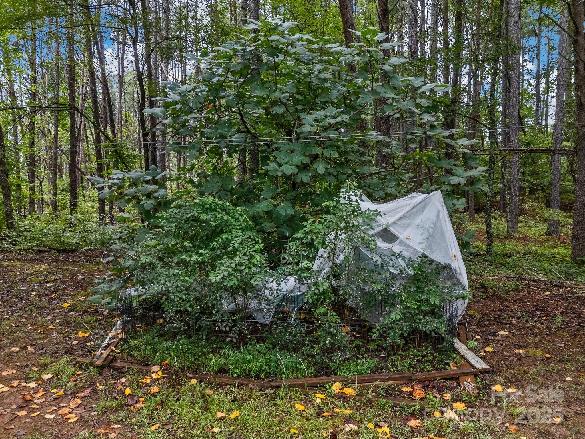 1146 Landrum Road