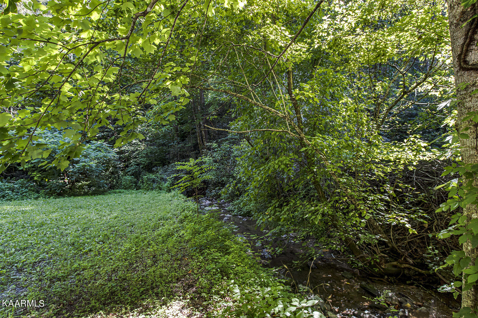 355 Odell Rd