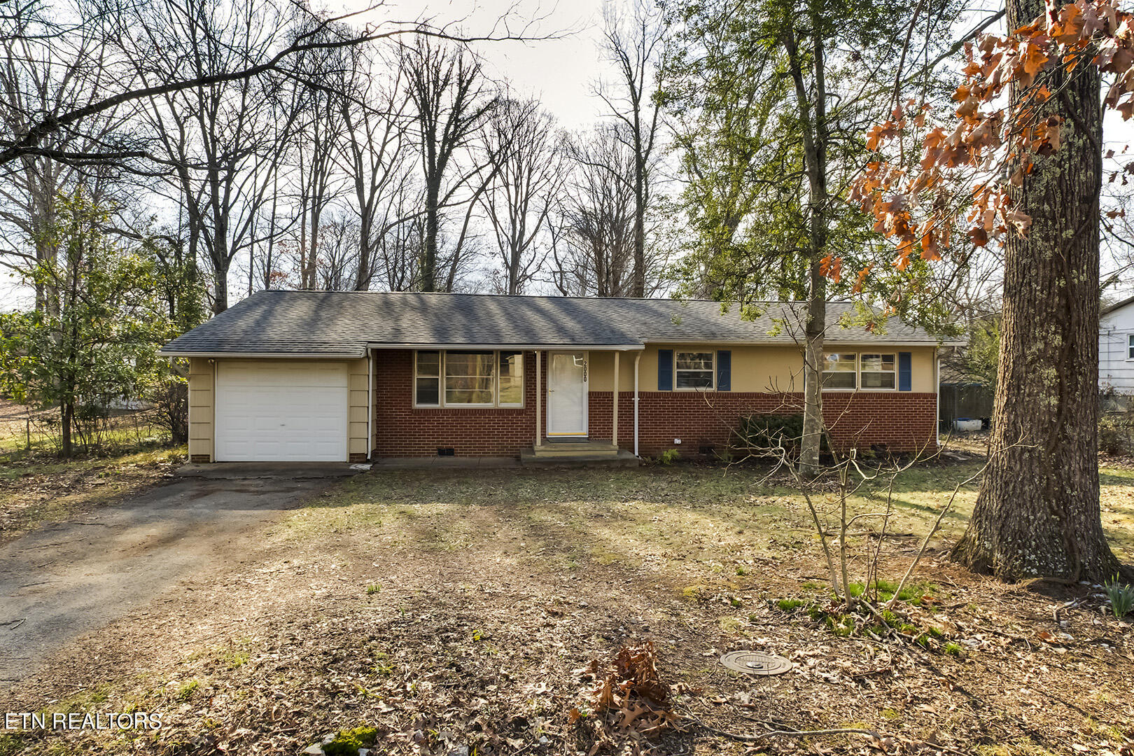 2000 Nandina Drive
