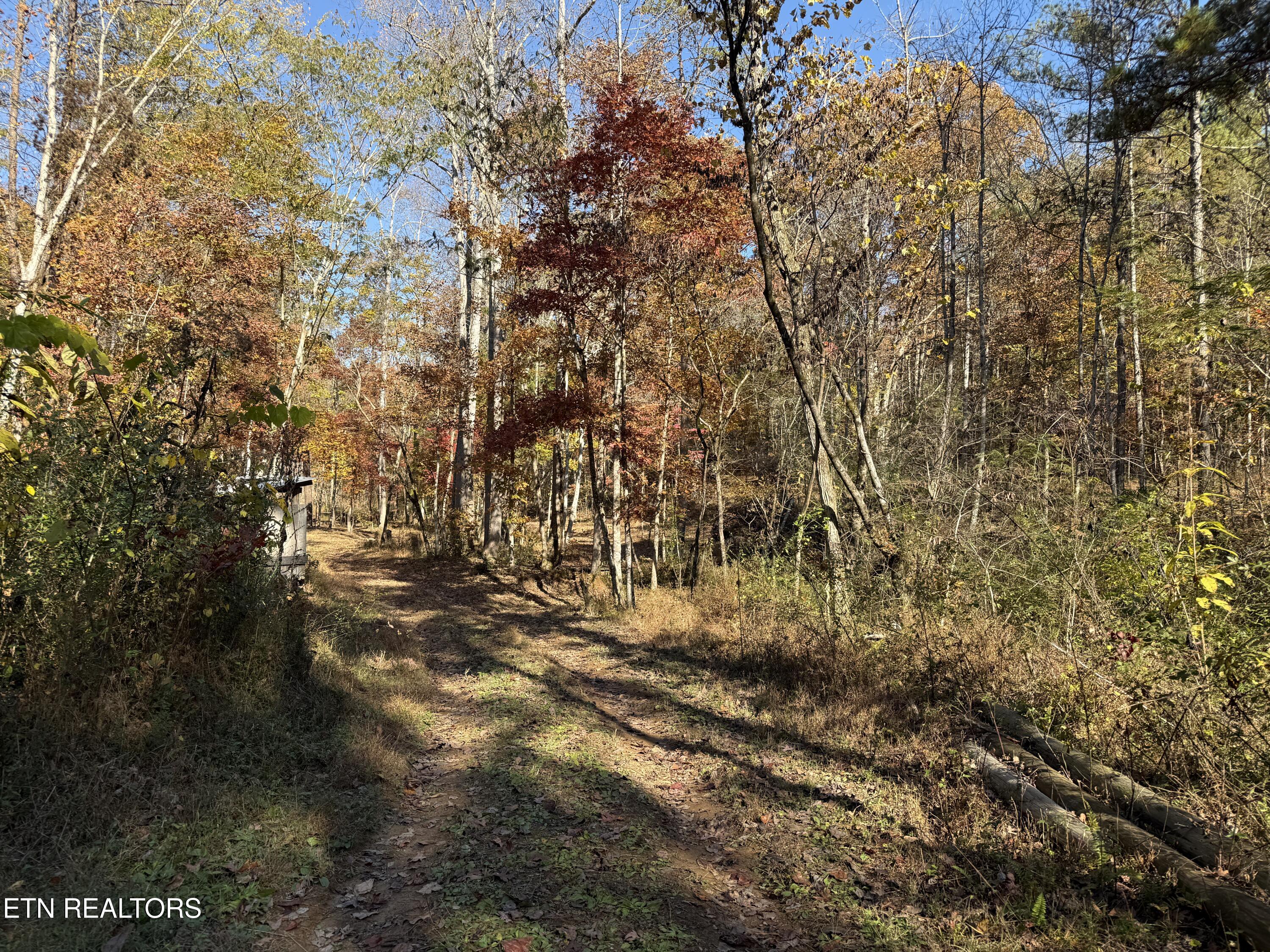 673 Reagan Valley Rd