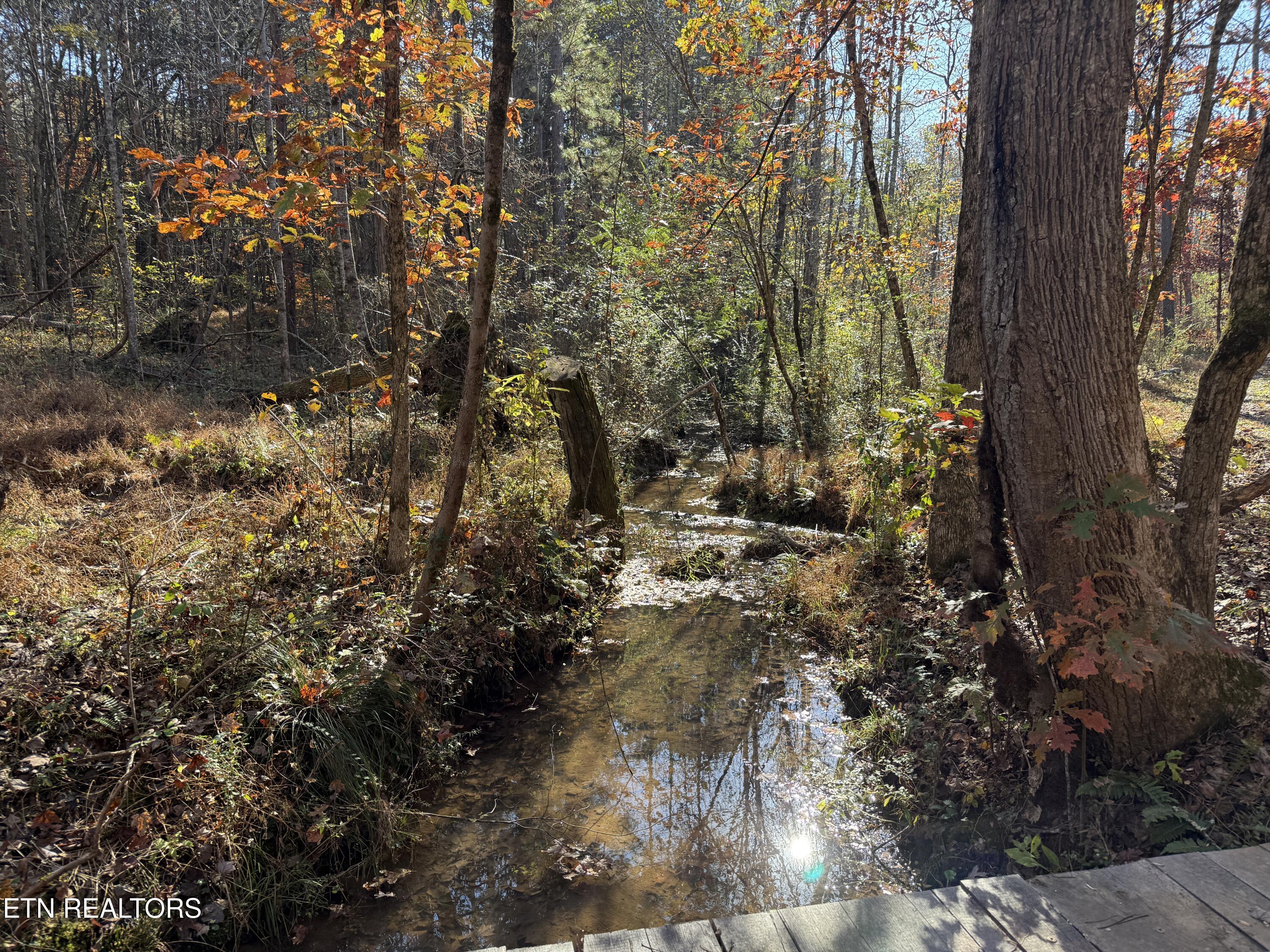 673 Reagan Valley Rd