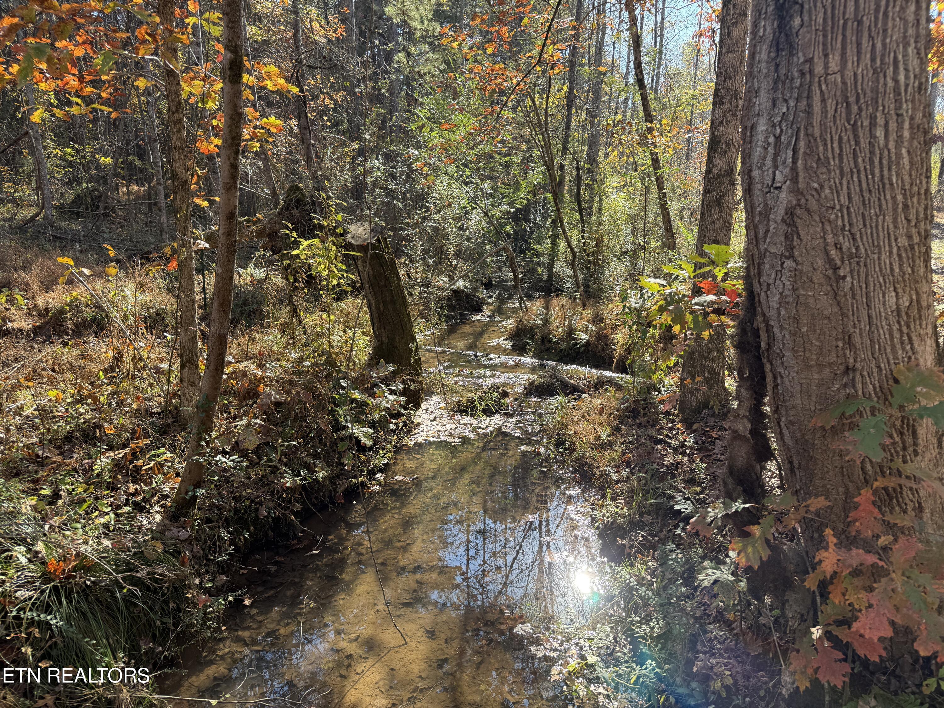 673 Reagan Valley Rd