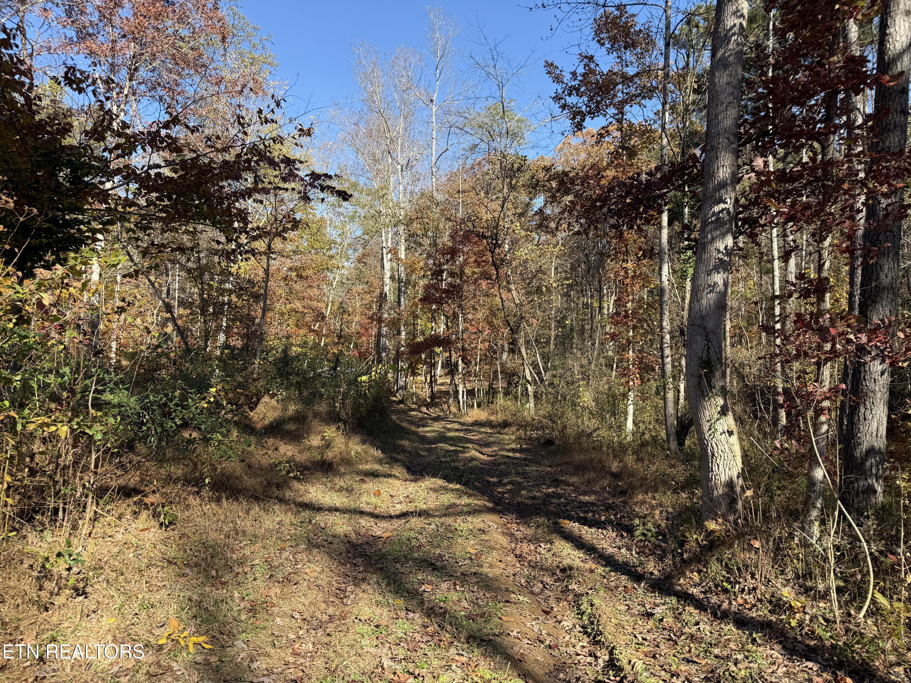 673 Reagan Valley Rd