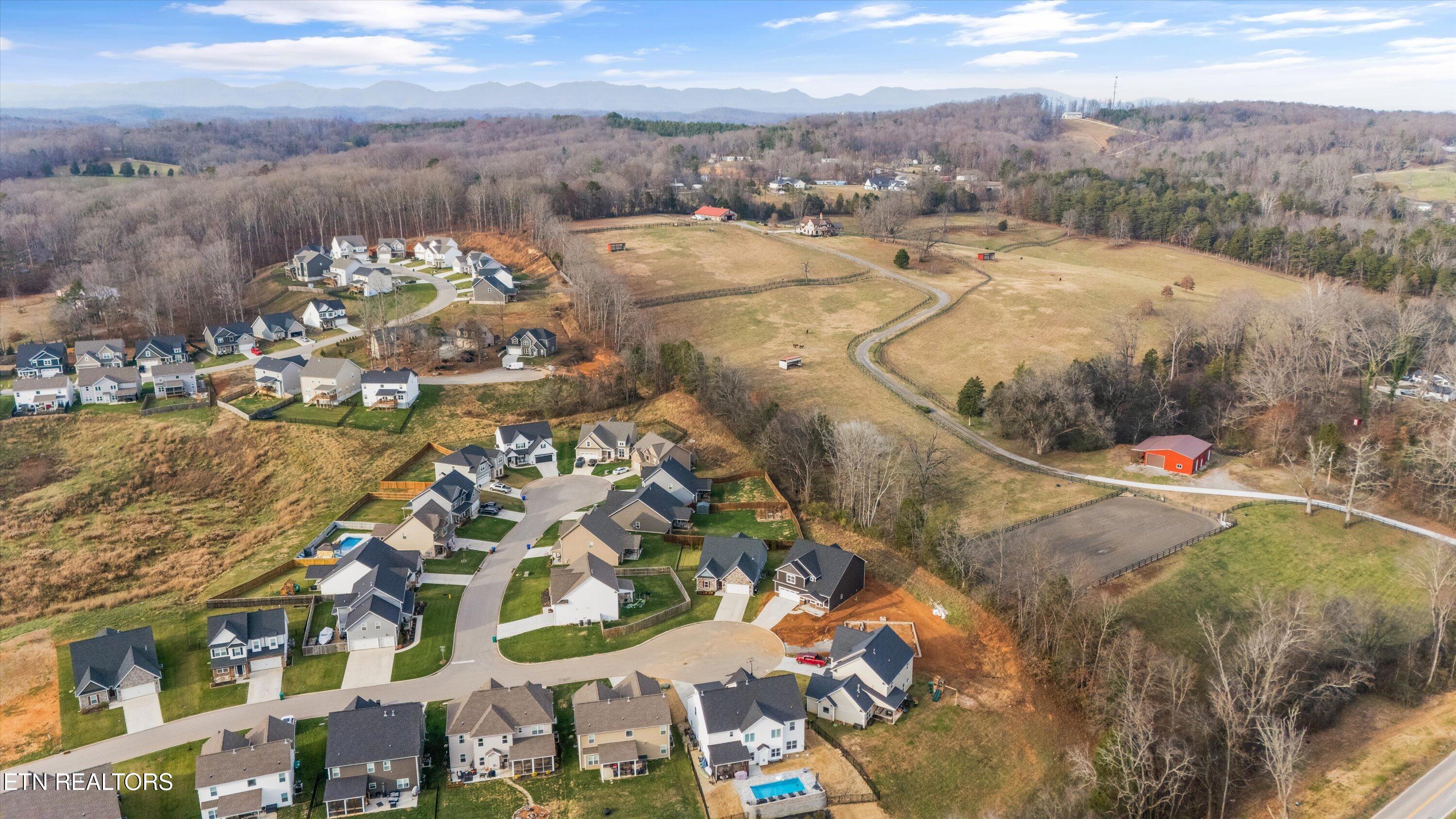 12607 Izzy Mule Lane