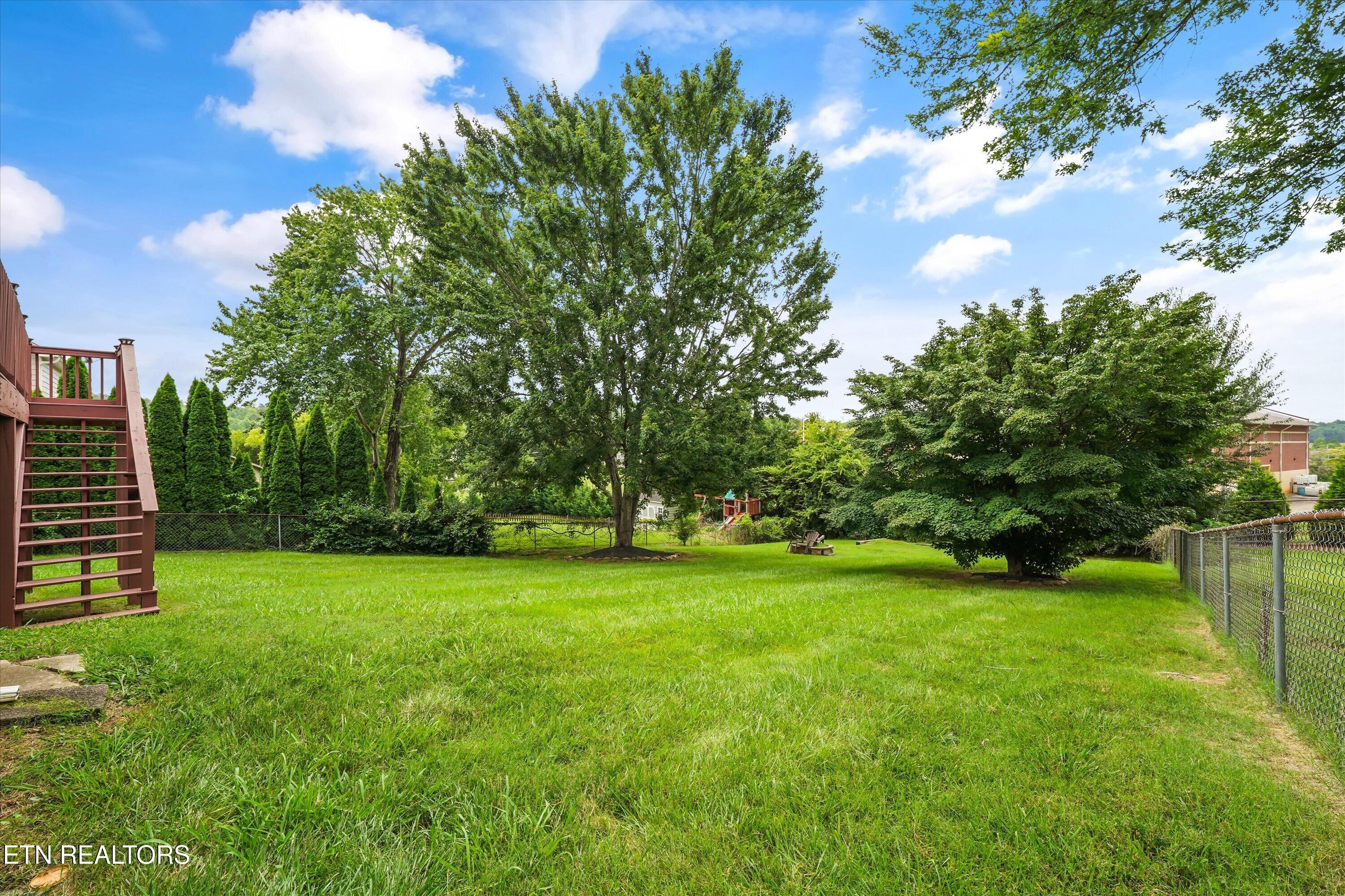 925 Tree Trunk Rd