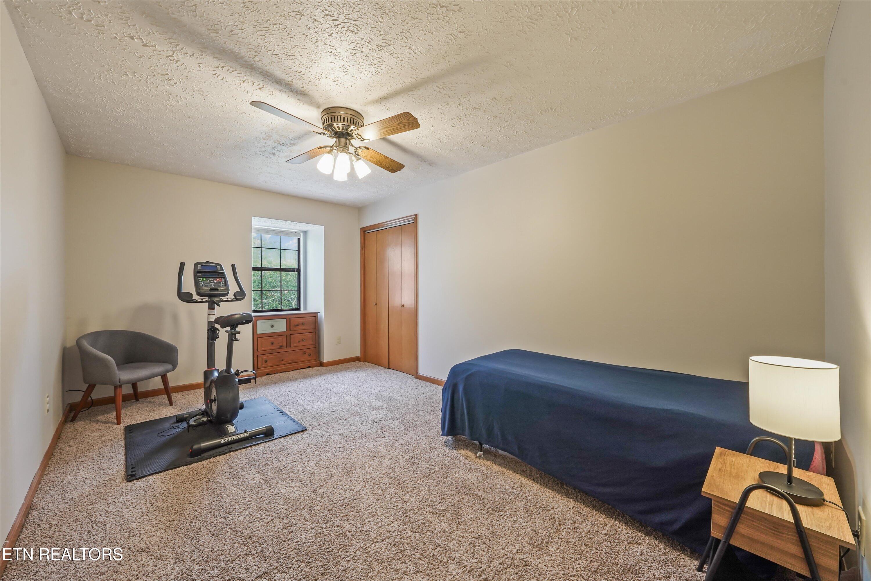 925 Tree Trunk Rd