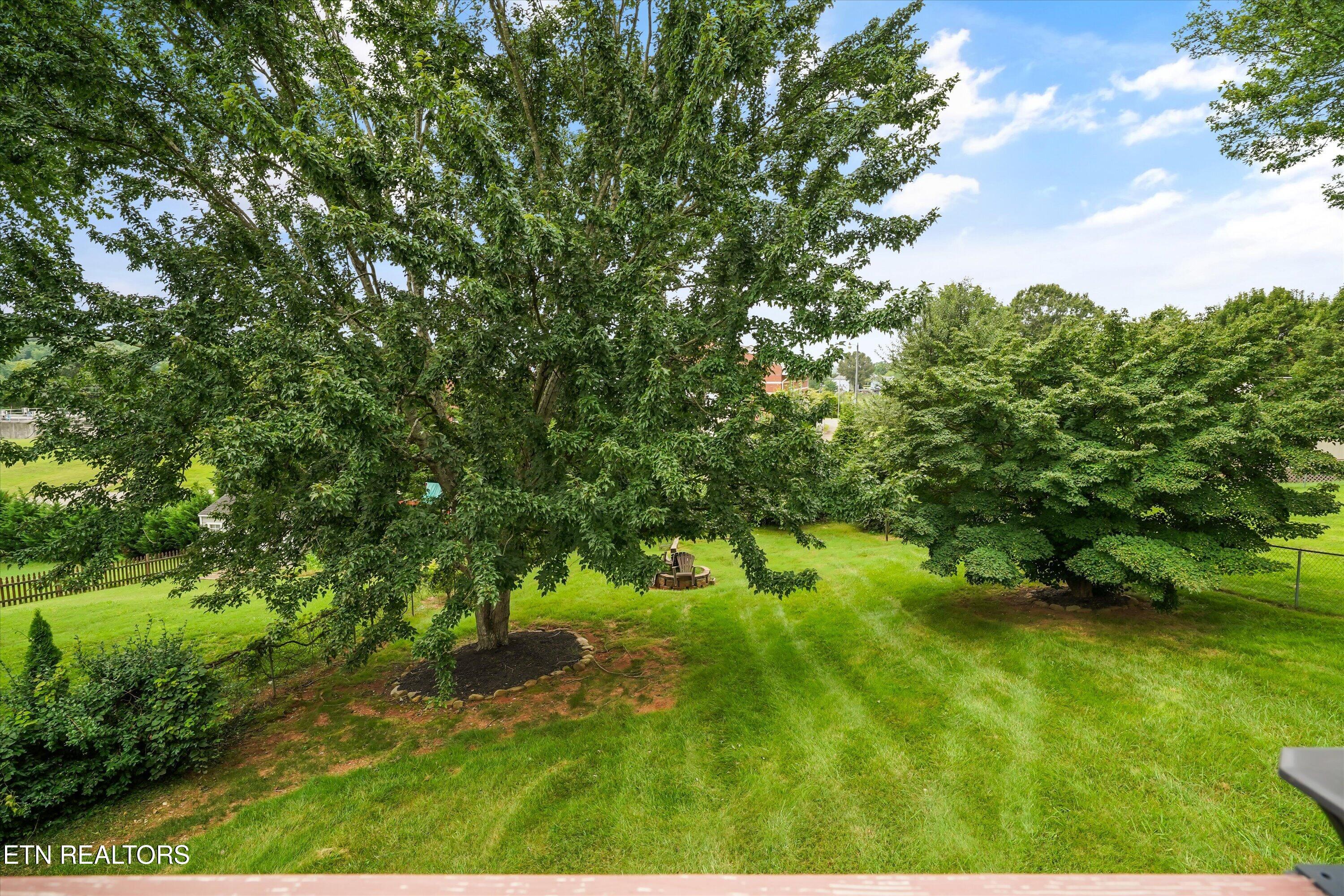 925 Tree Trunk Rd