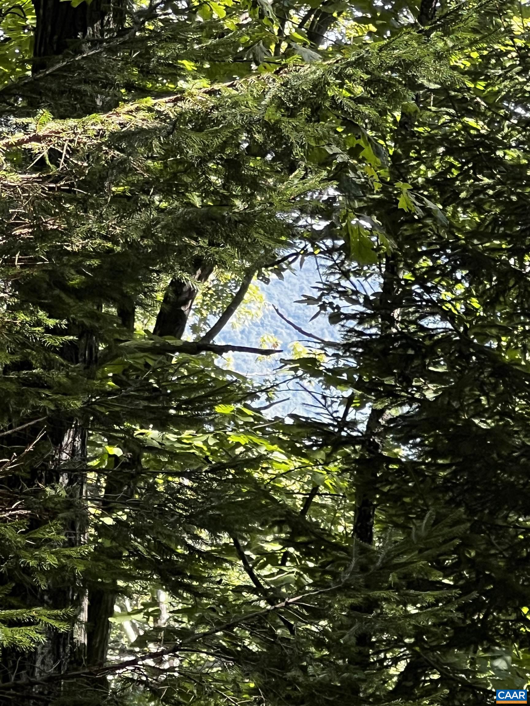 TBD SHAMOKIN SPRINGS TRL Unit: 155 Chestnut Springs