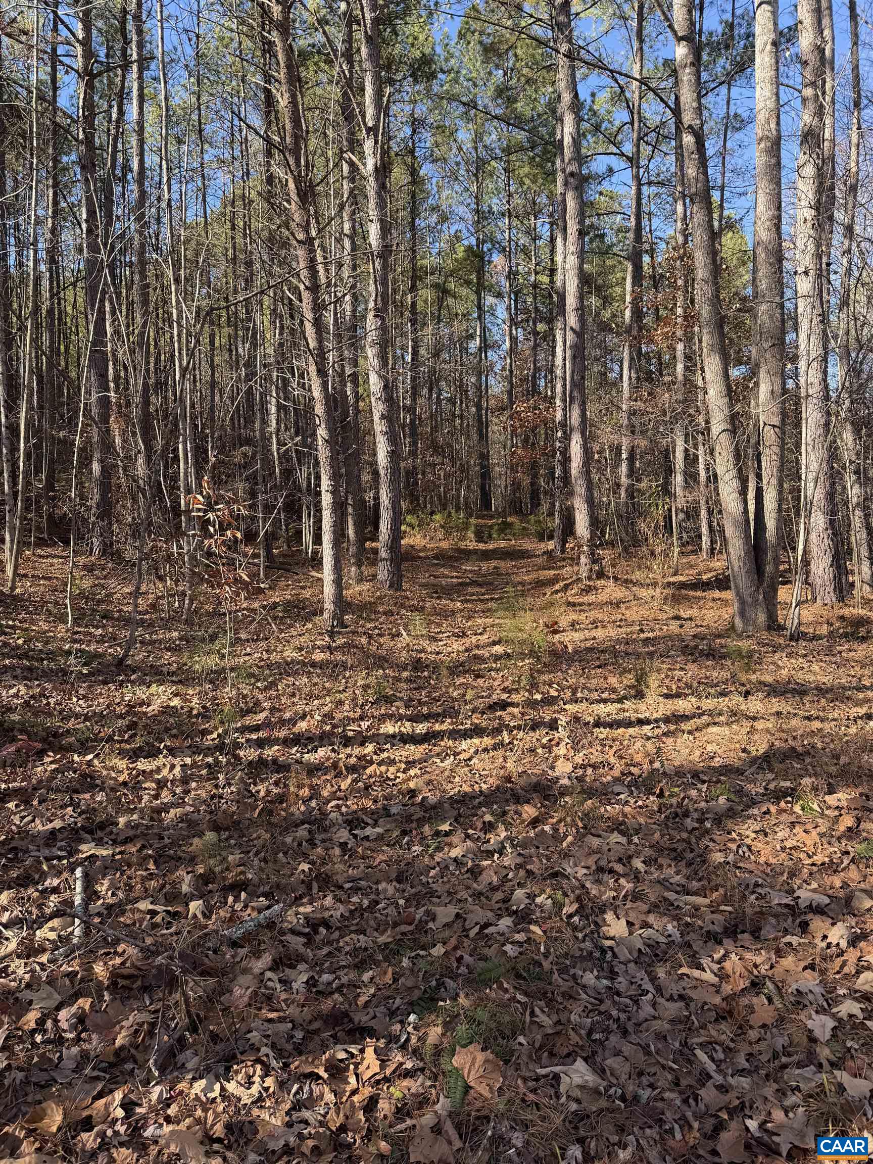 TBD UNION HILL DR