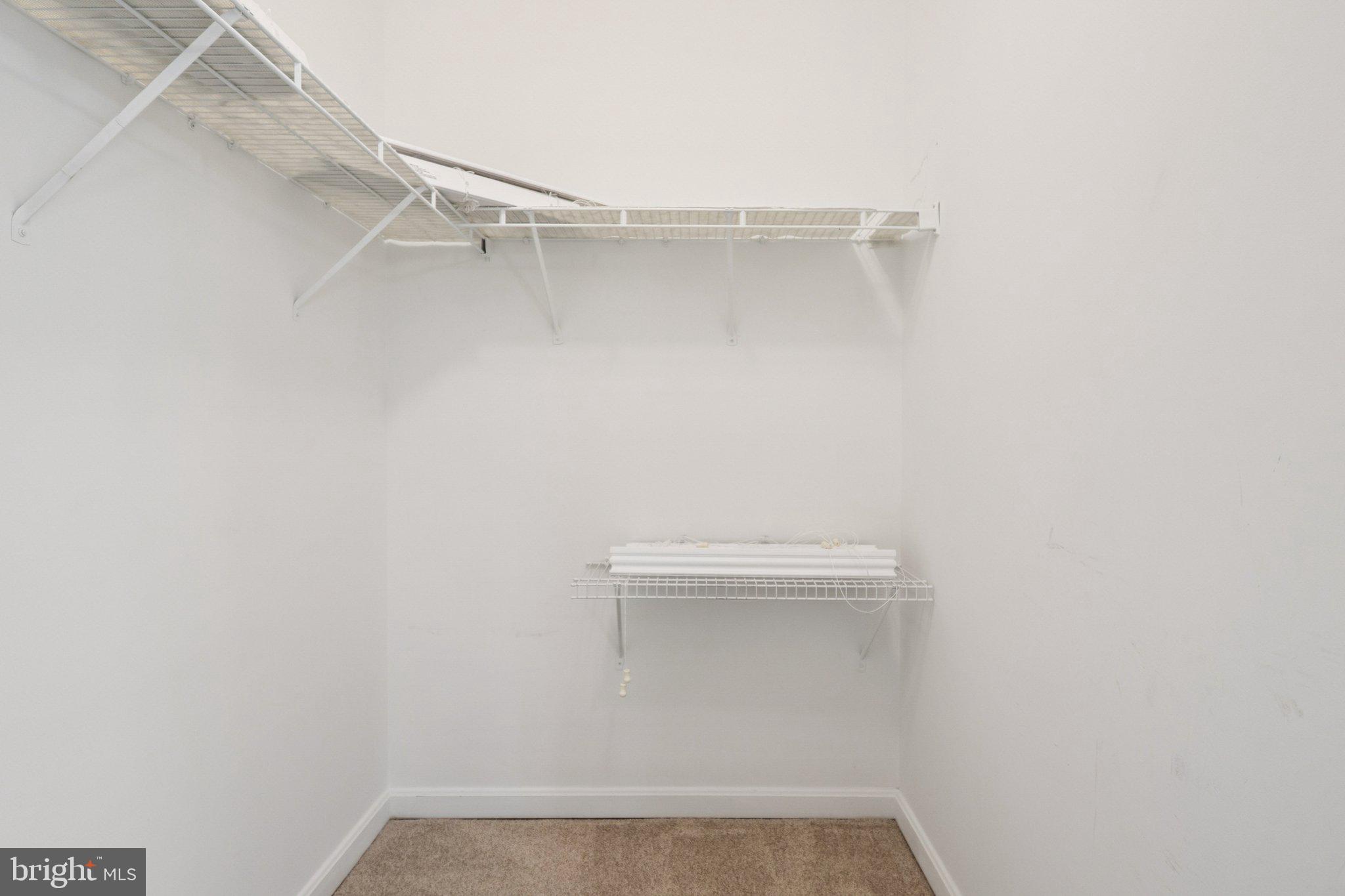 8608 WANDERING FOX TRAIL 303