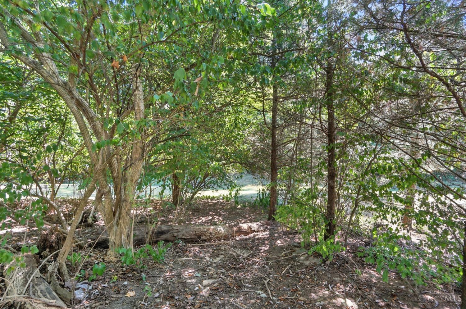 671 Mccormick Lane