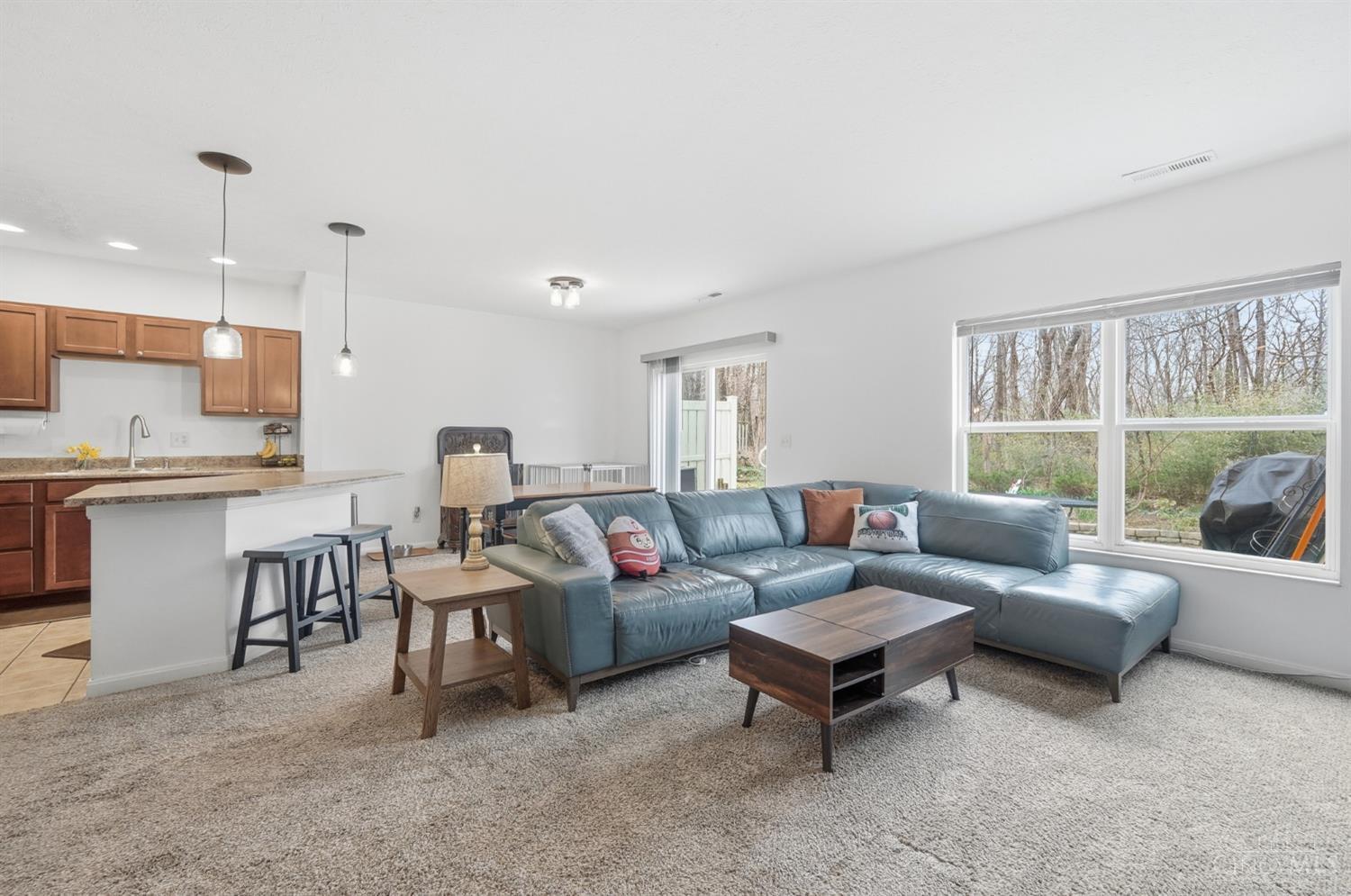 1145 Telluride 305