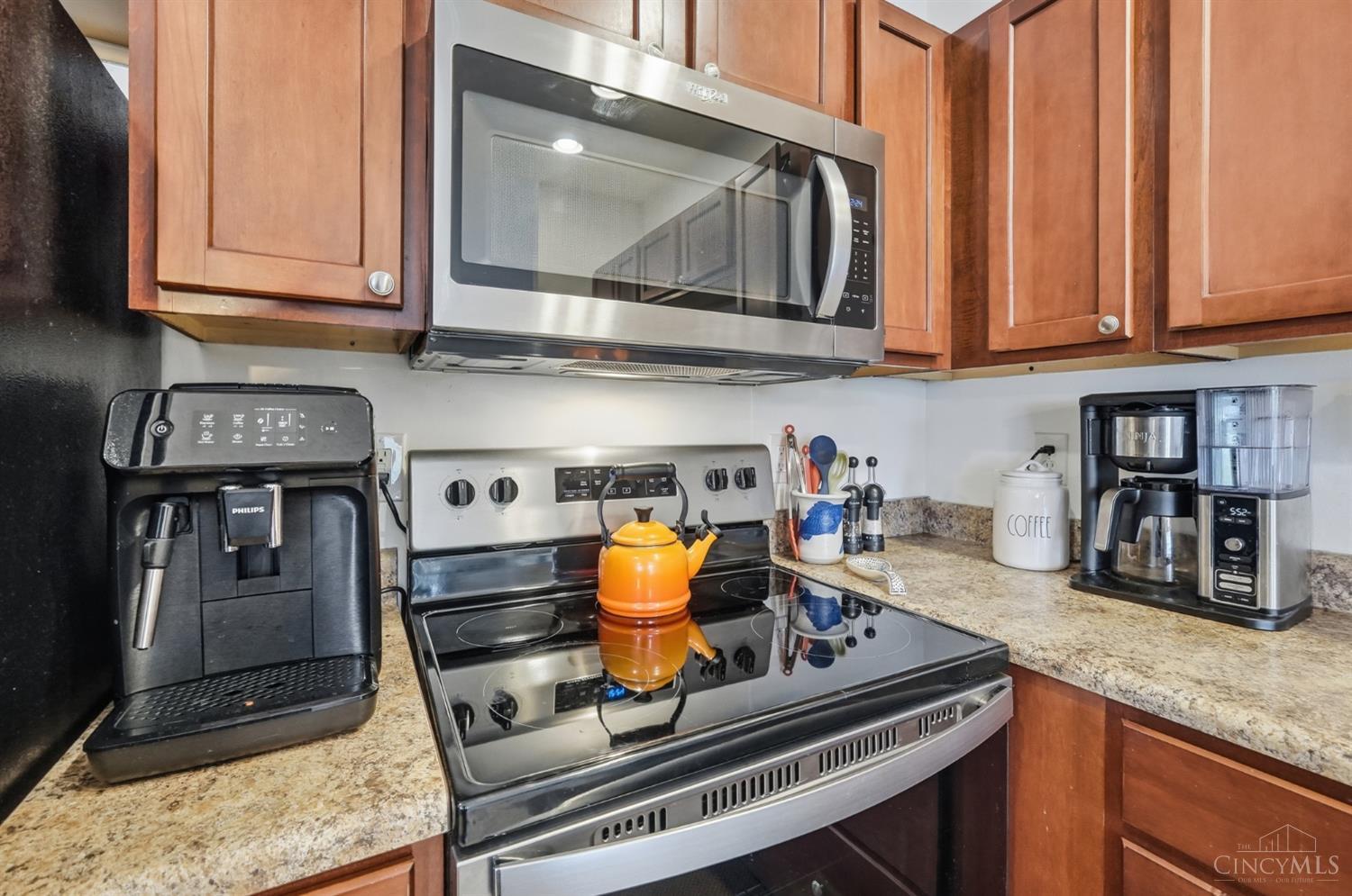 1145 Telluride 305