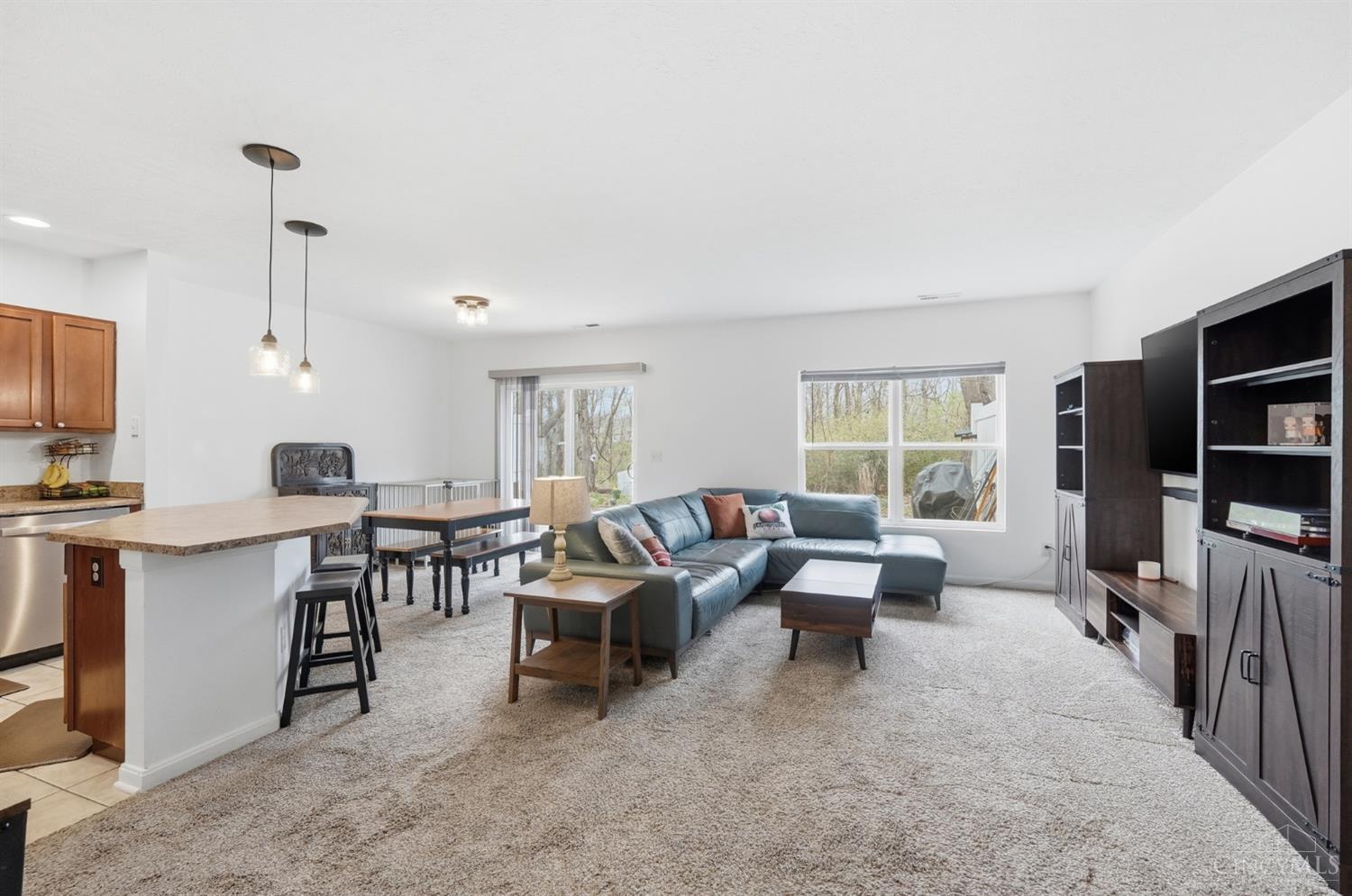 1145 Telluride 305