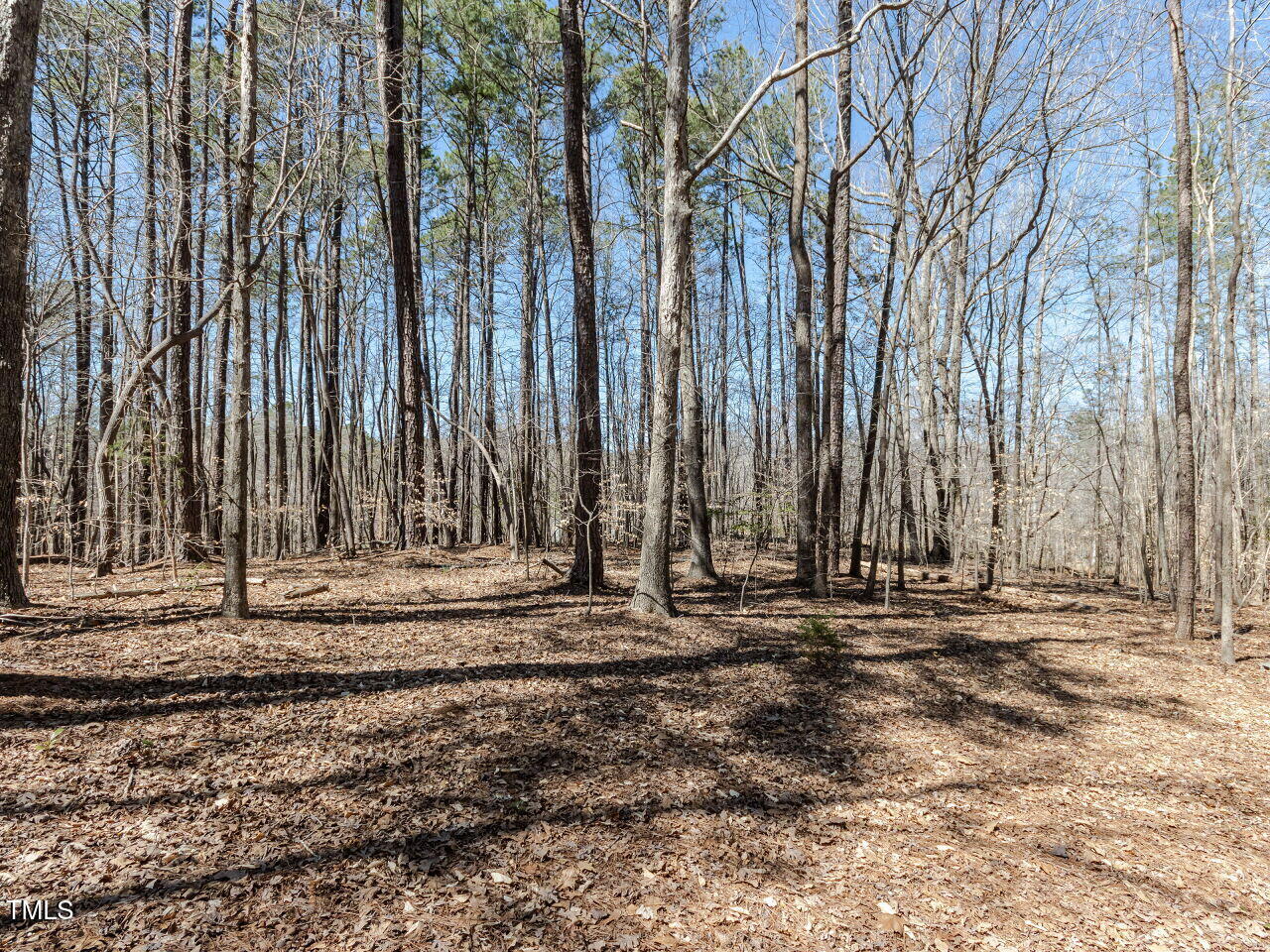 11619 John Allen Road Road