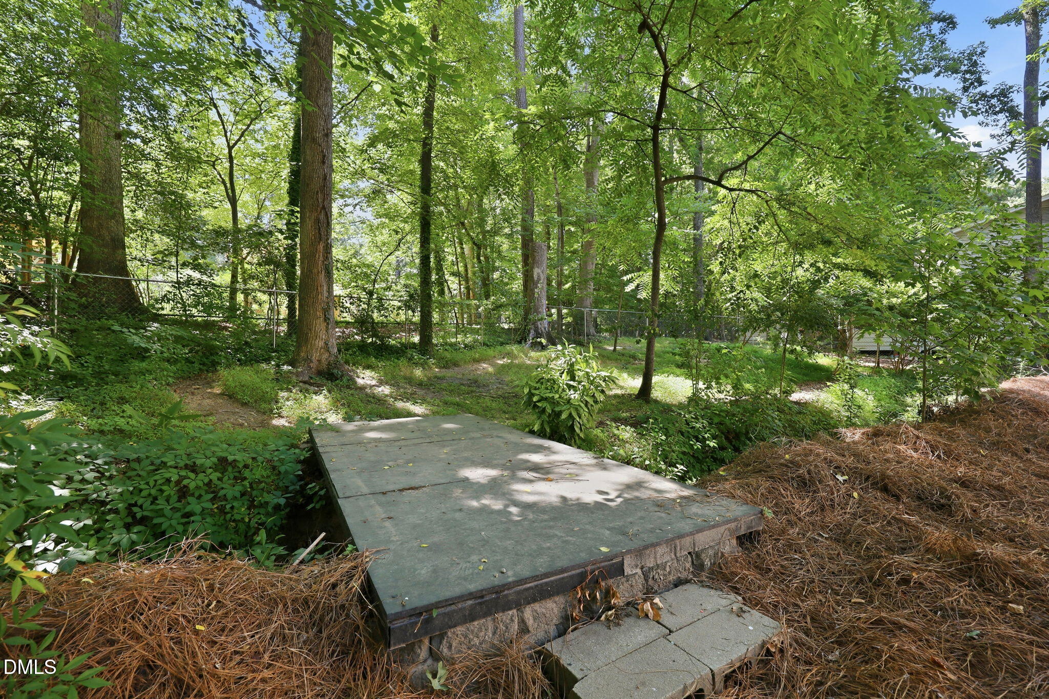 805 Ellynn Drive