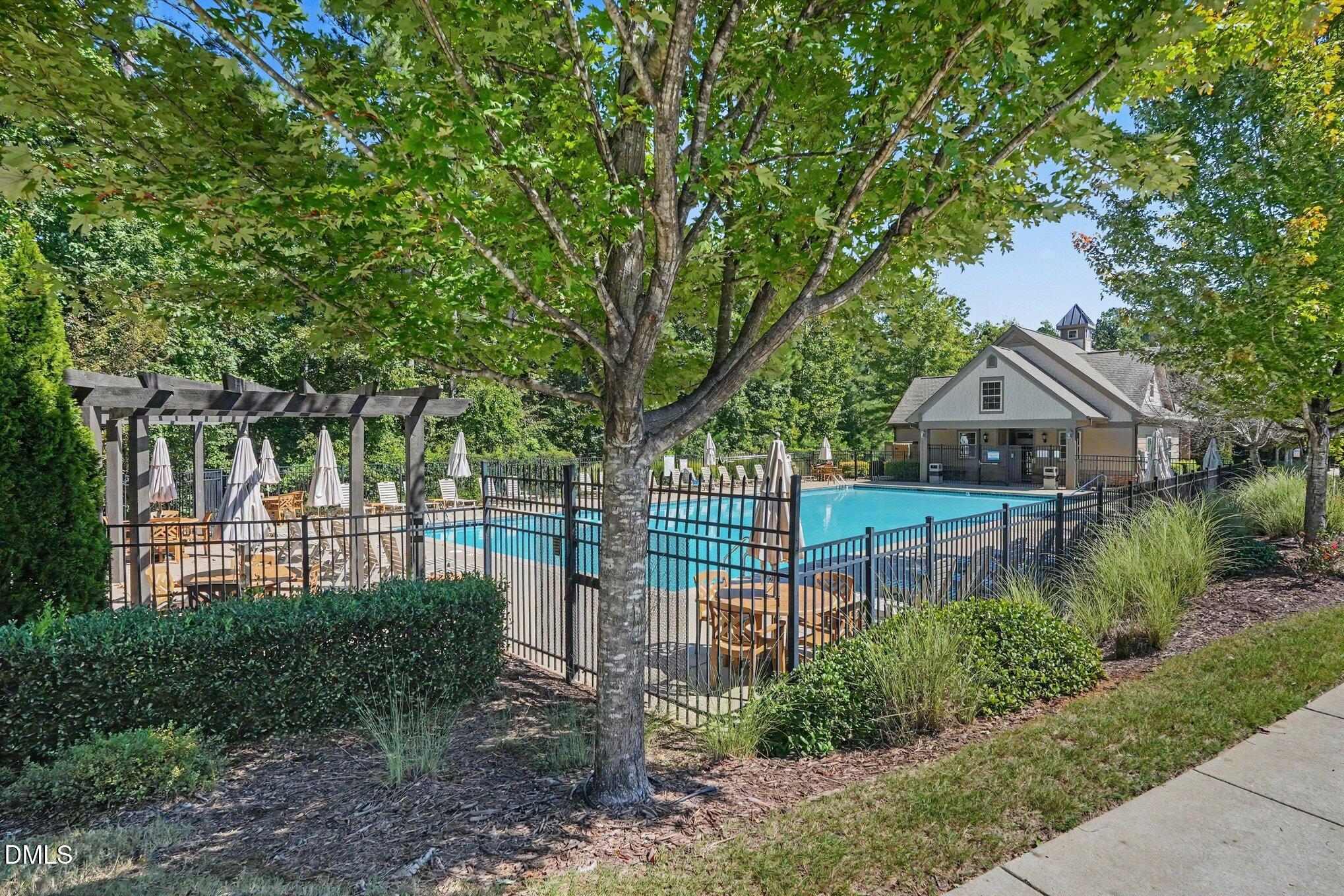 Fenced community pool with lounge chairs, umbrellas, and a clubhouse beneath a large shade tree.
