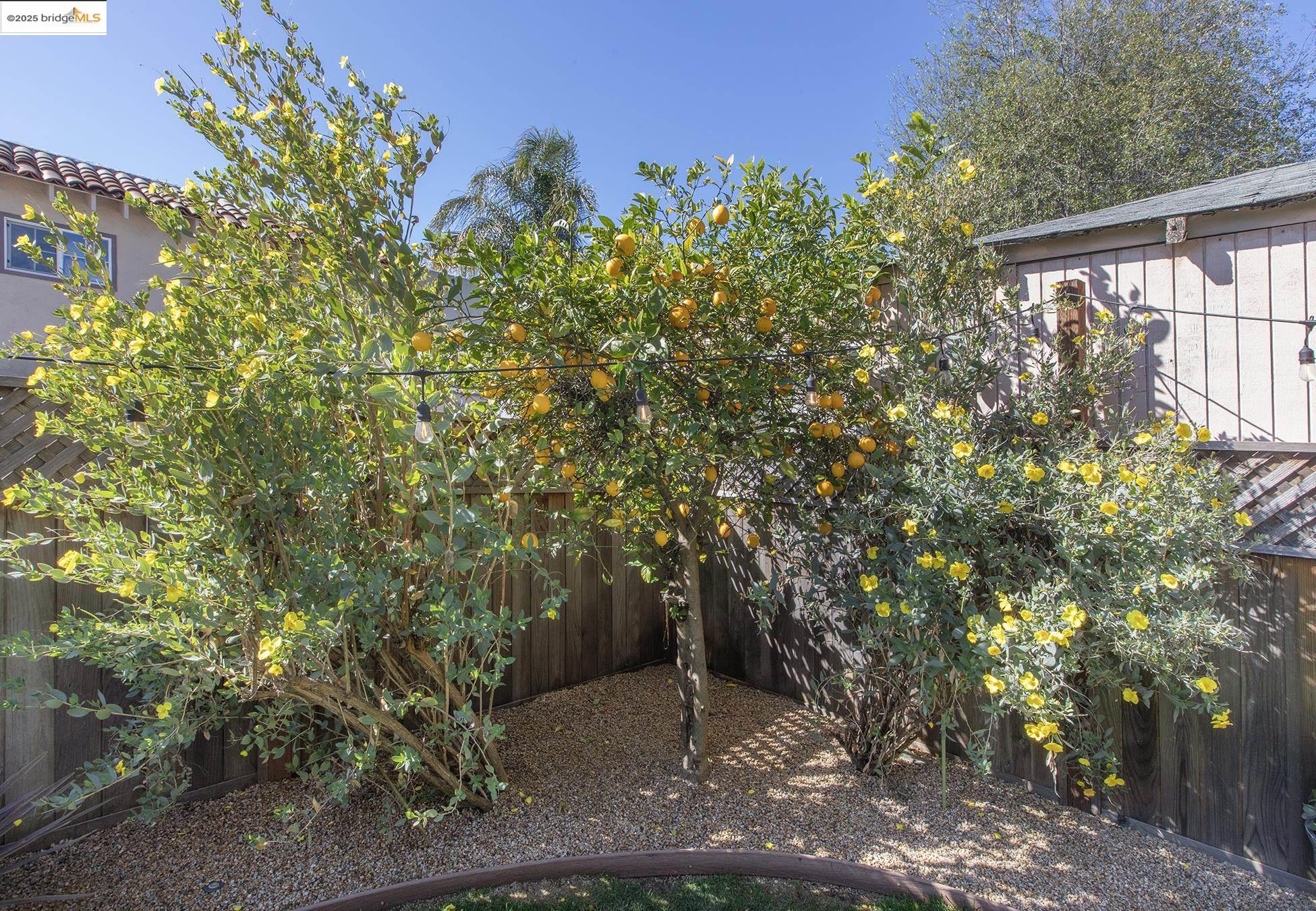 5731 Picardy Dr