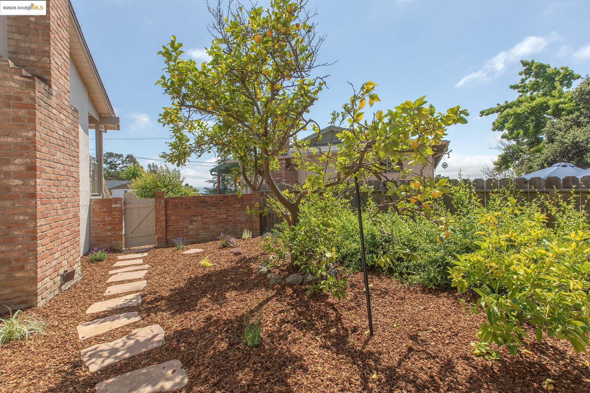 21 Maggiora Ct