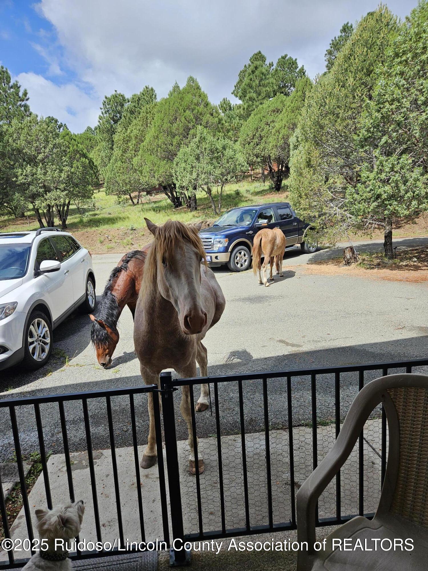 108 Stone Mountain Loop