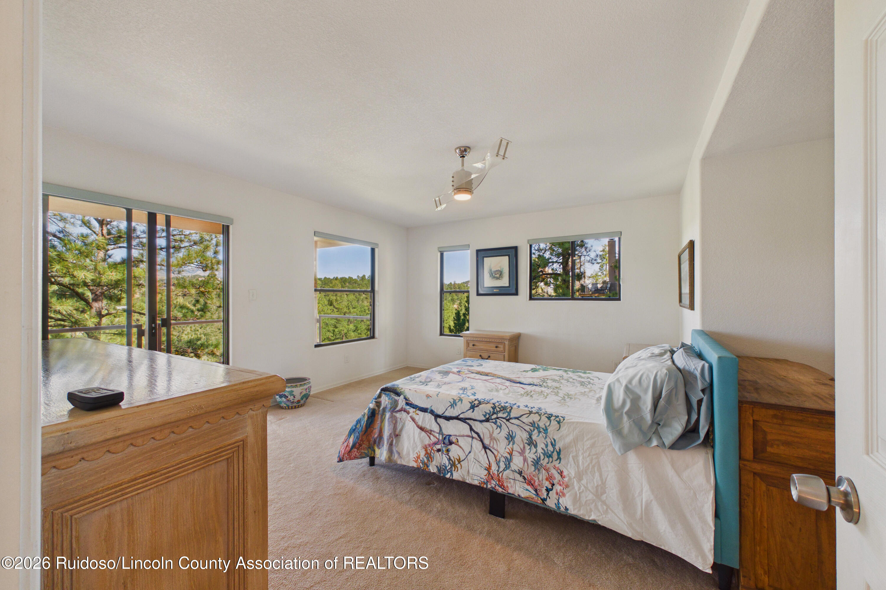 221 Timberline Drive