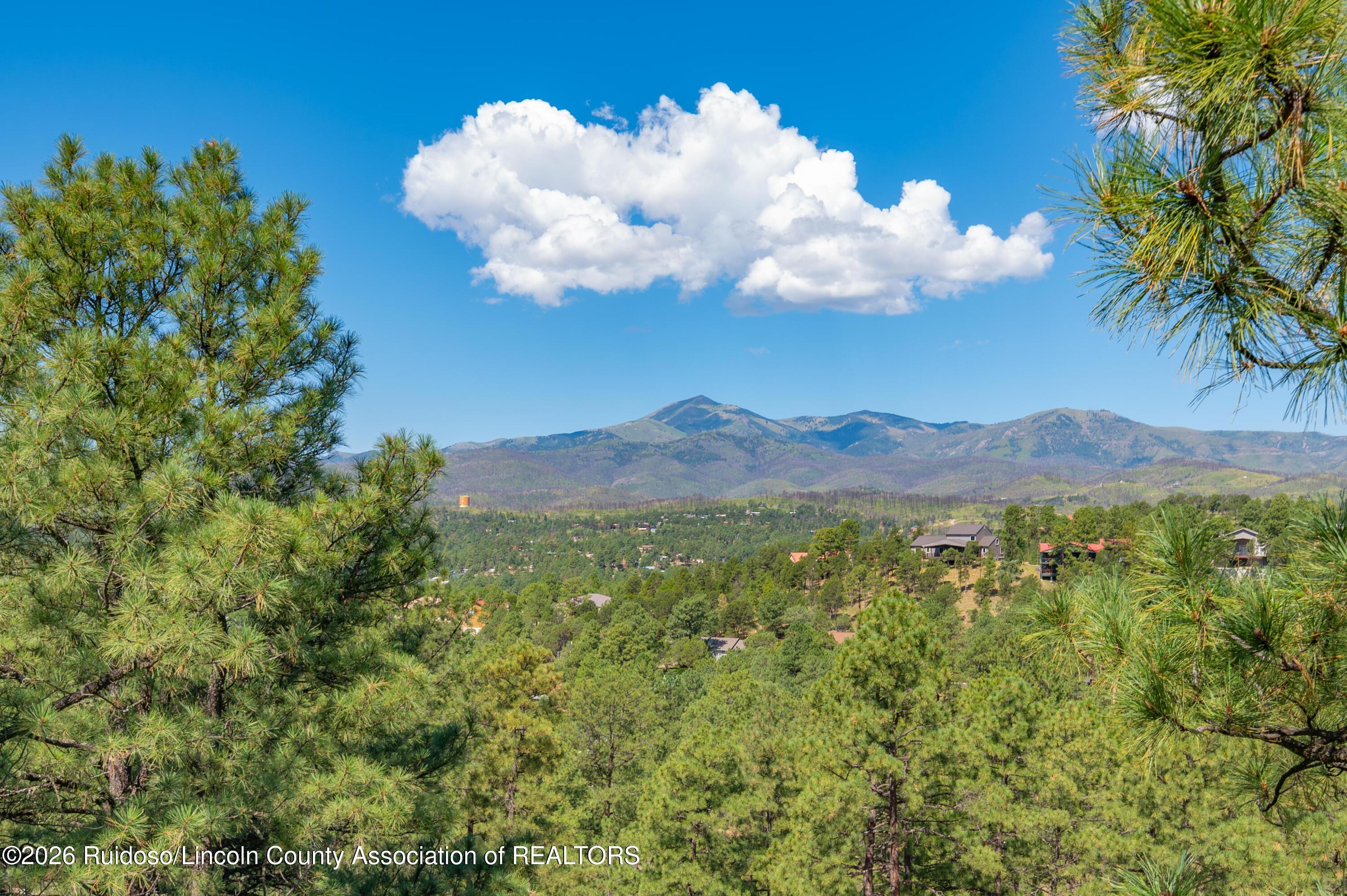 221 Timberline Drive