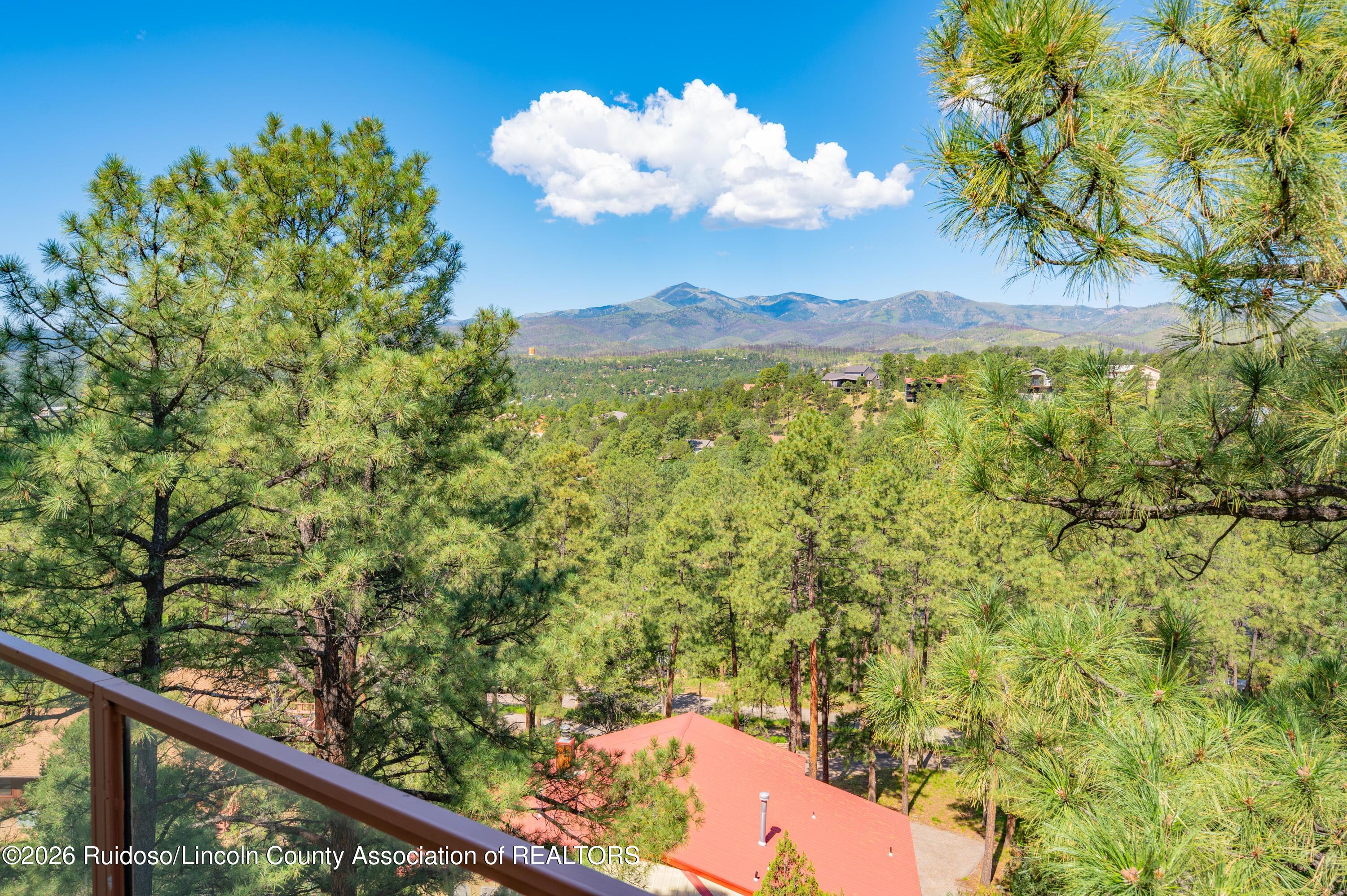 221 Timberline Drive