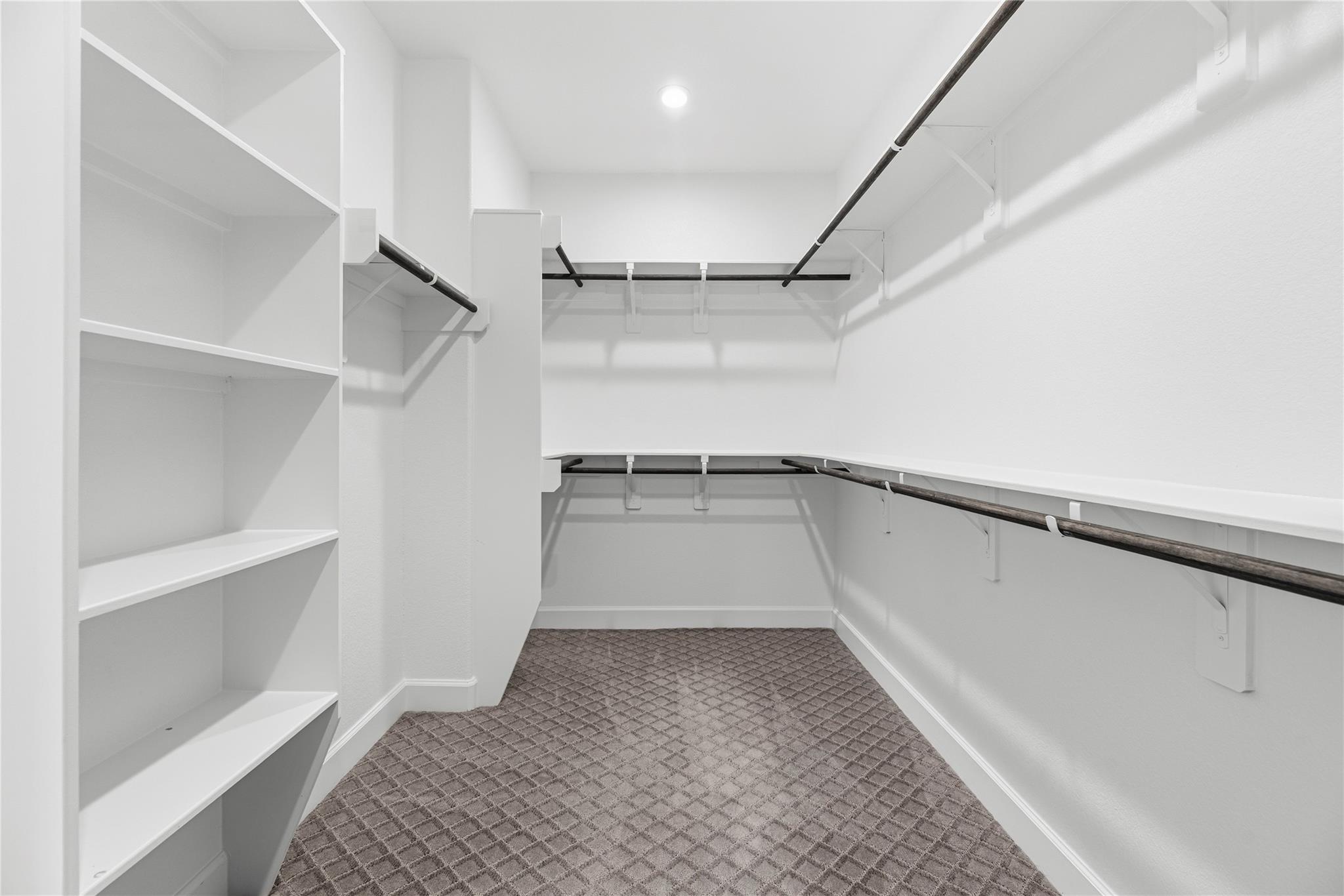 Walk-in closet with white built-in shelves, hanging rods, and patterned carpet.