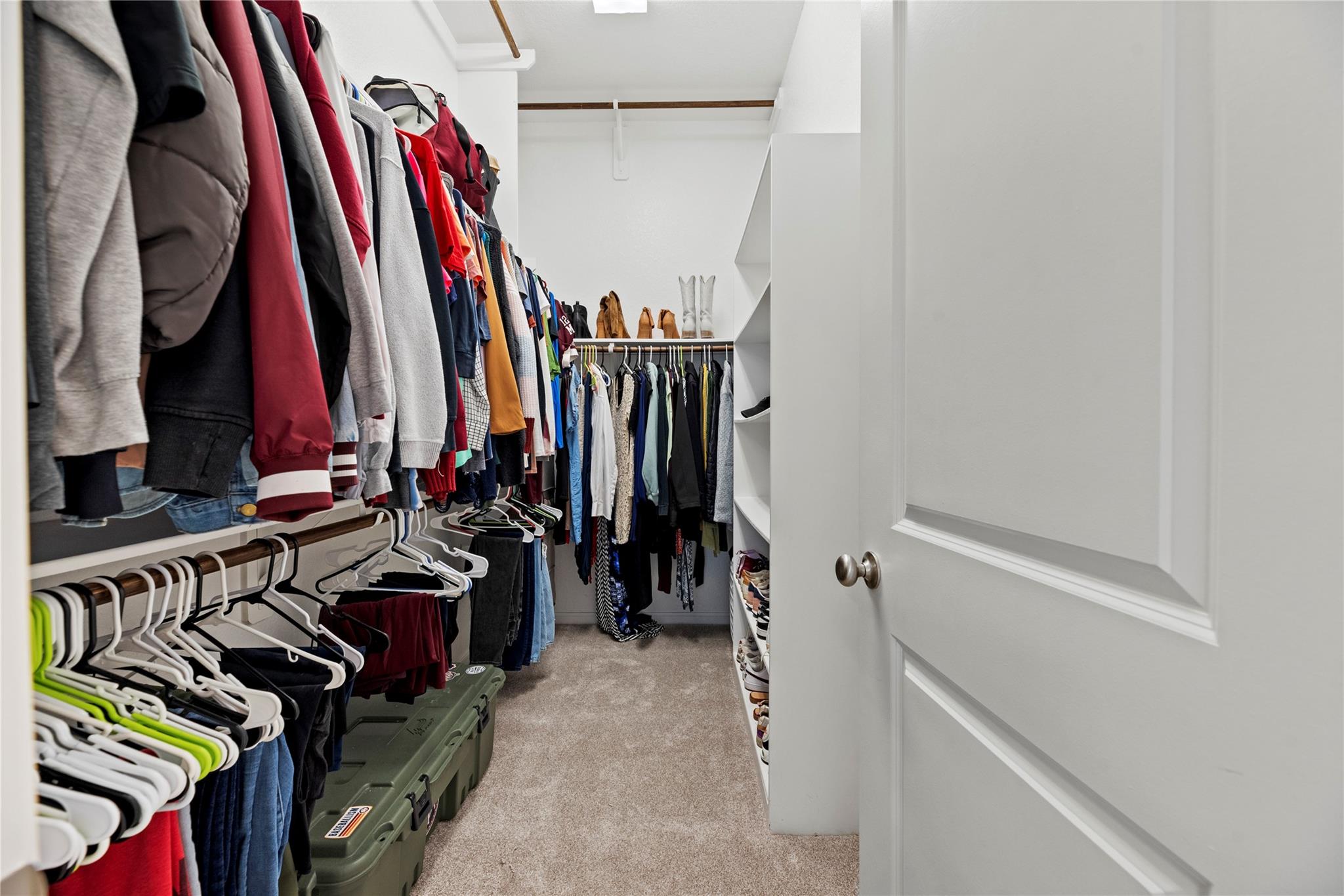 10907 Perennial Mist Drive