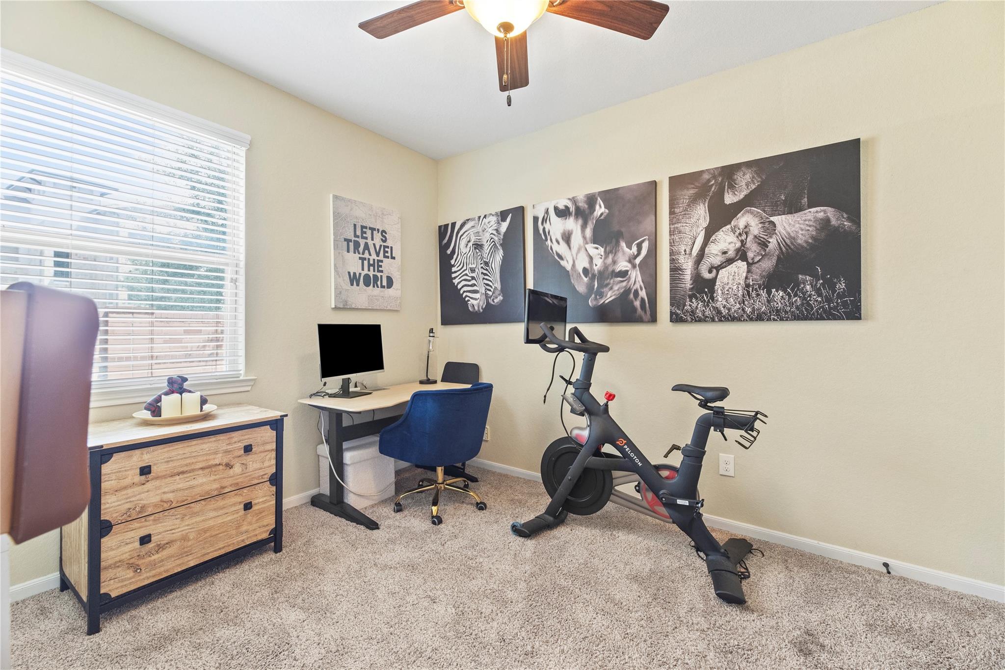 Home office and workout room with a desk, stationary bike, animal prints, and carpet.